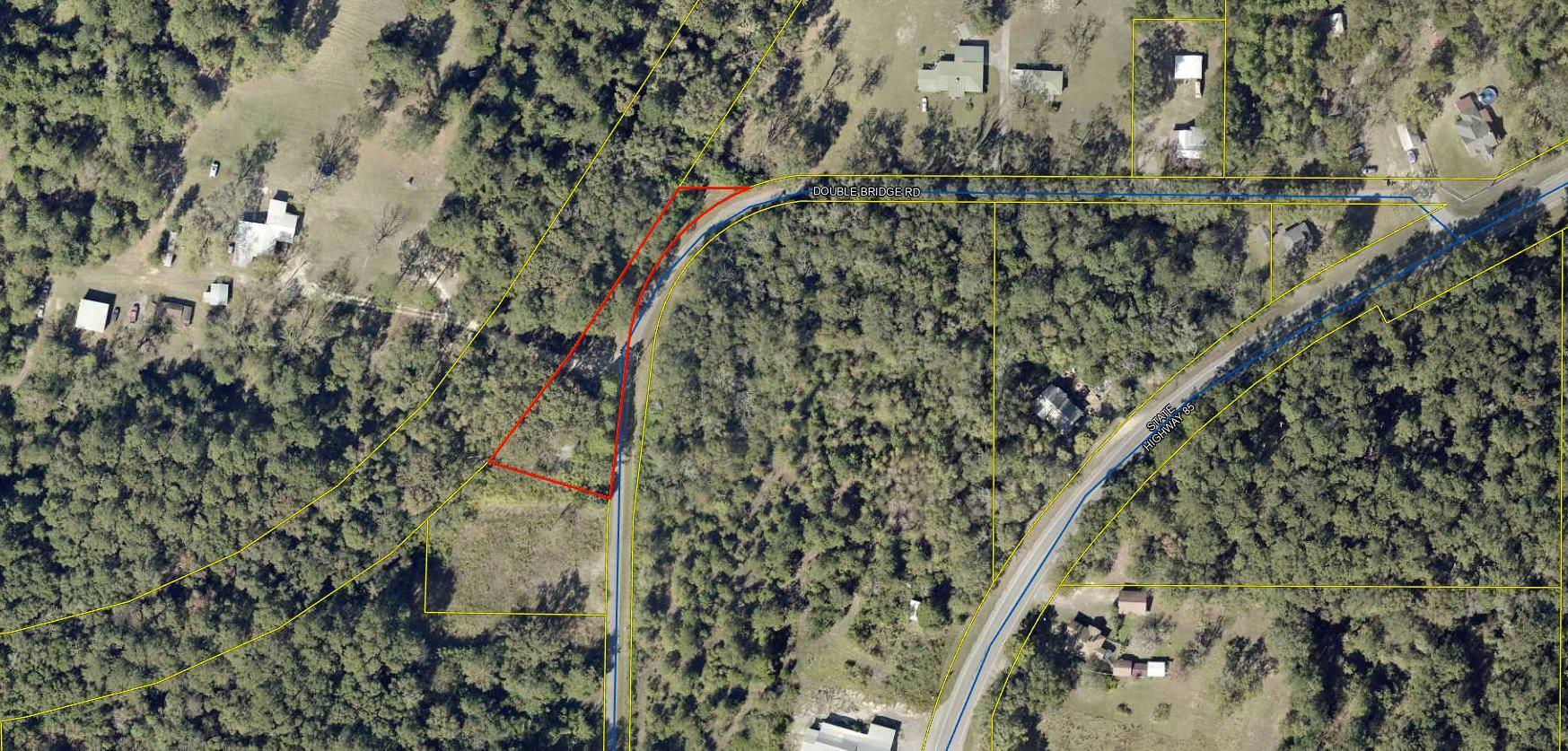 228 Double Bridge Road Laurel Hill, FL 32567 - Photo 20 of 23 a close up of a plant