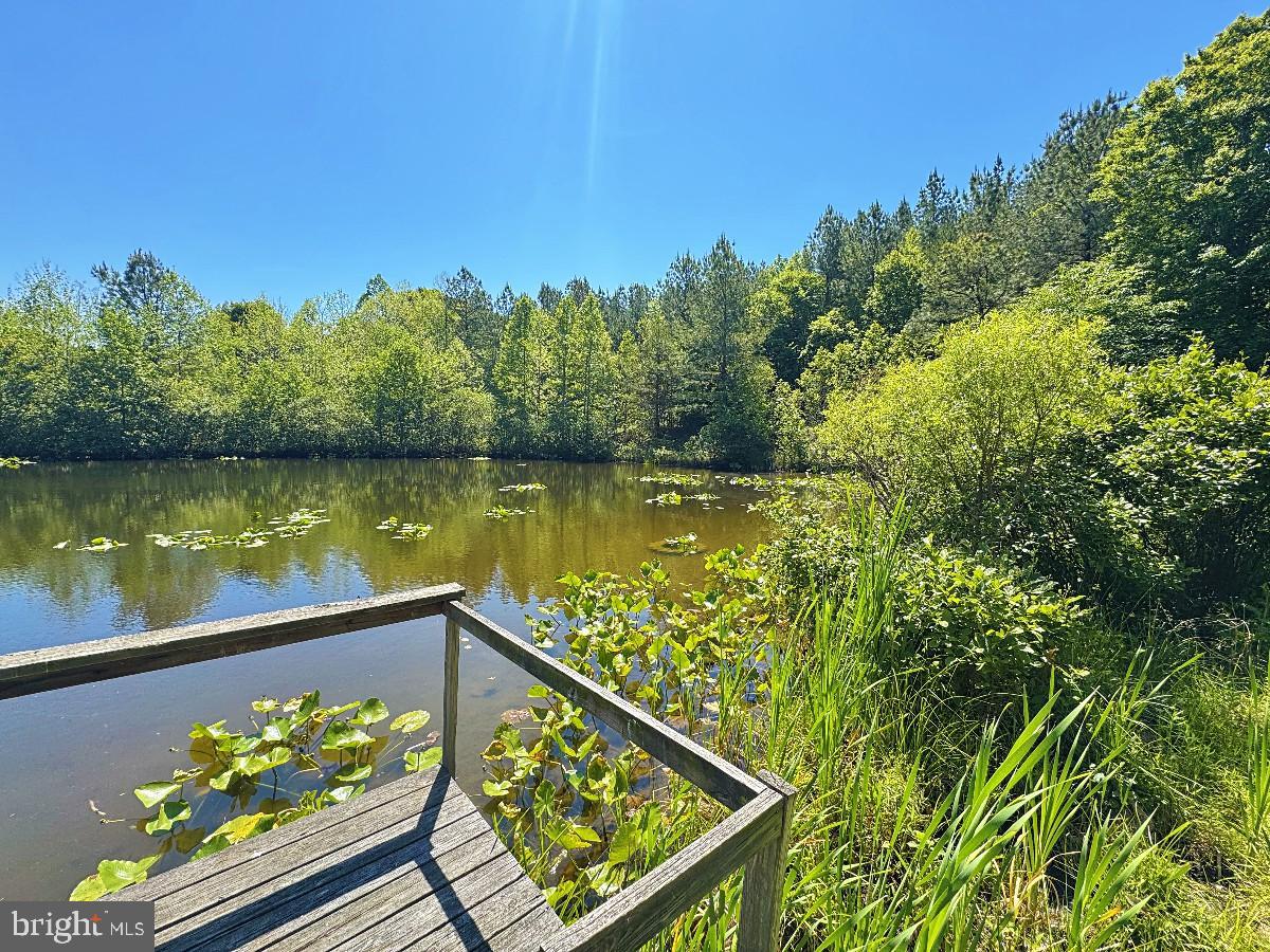 3230 Ridgeway Road Vernon Hill, VA 24597 - Photo 62 of 71