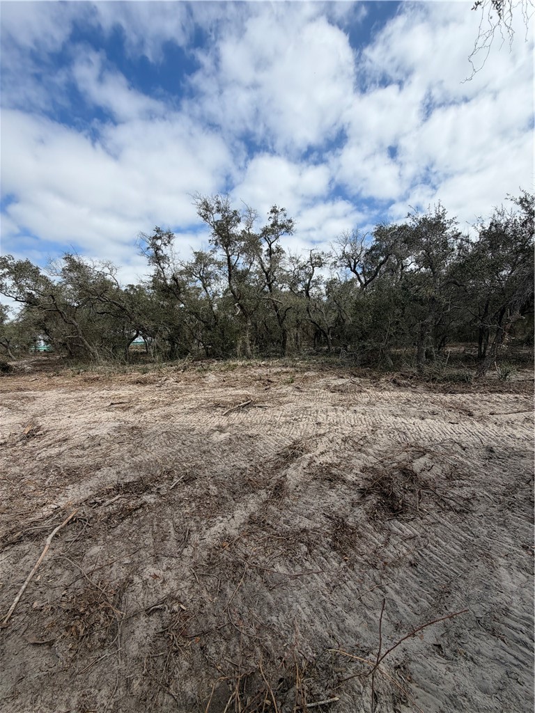 2539 Jocelyn Road Aransas Pass, TX 78336 - Photo 7 of 8