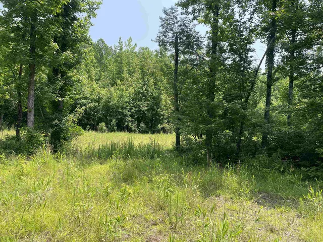 a view of a garden with a lake