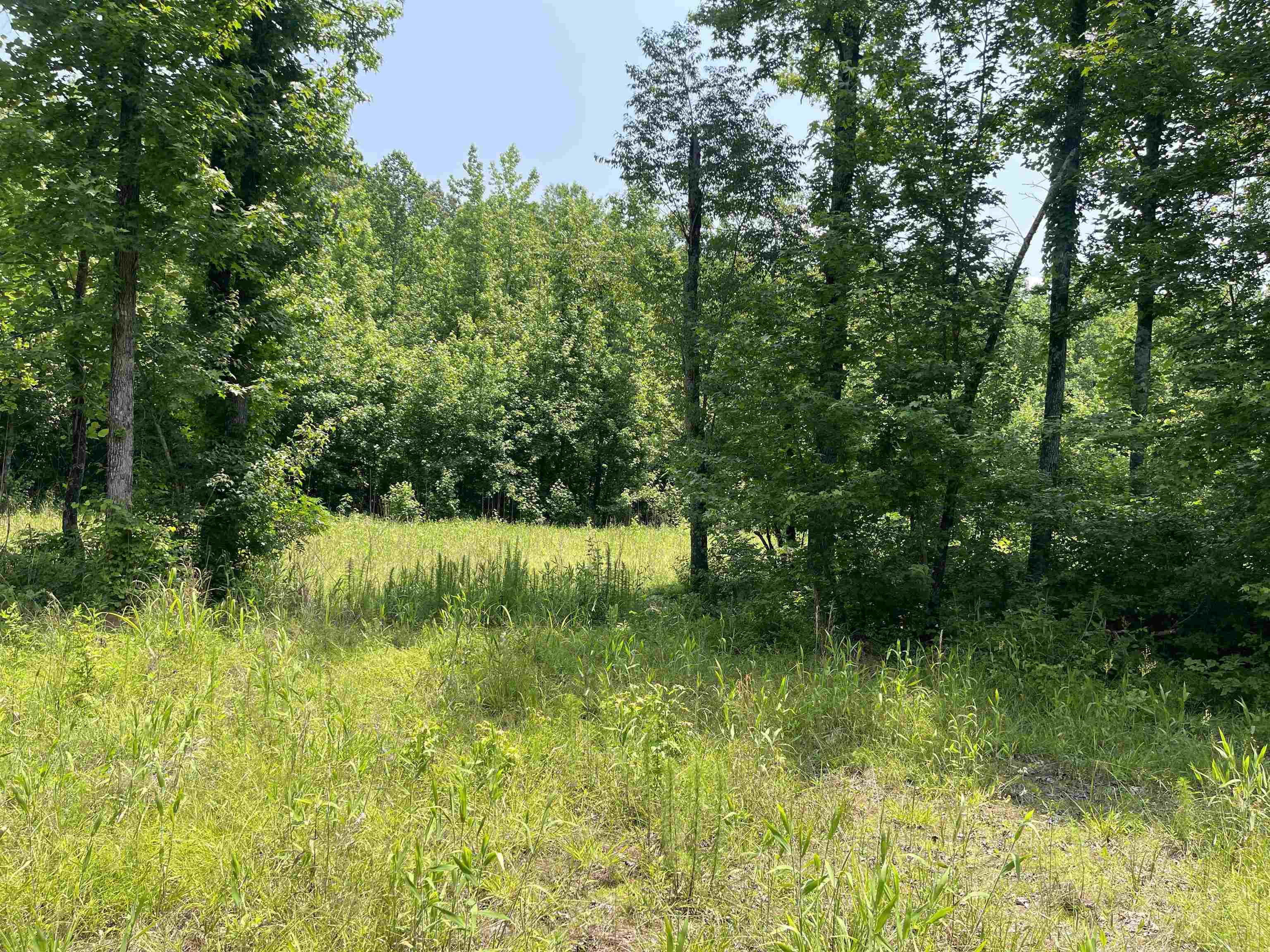 2460 Highway 421 Boone, NC 28607 - Photo 12 of 18 a view of a garden with a lake