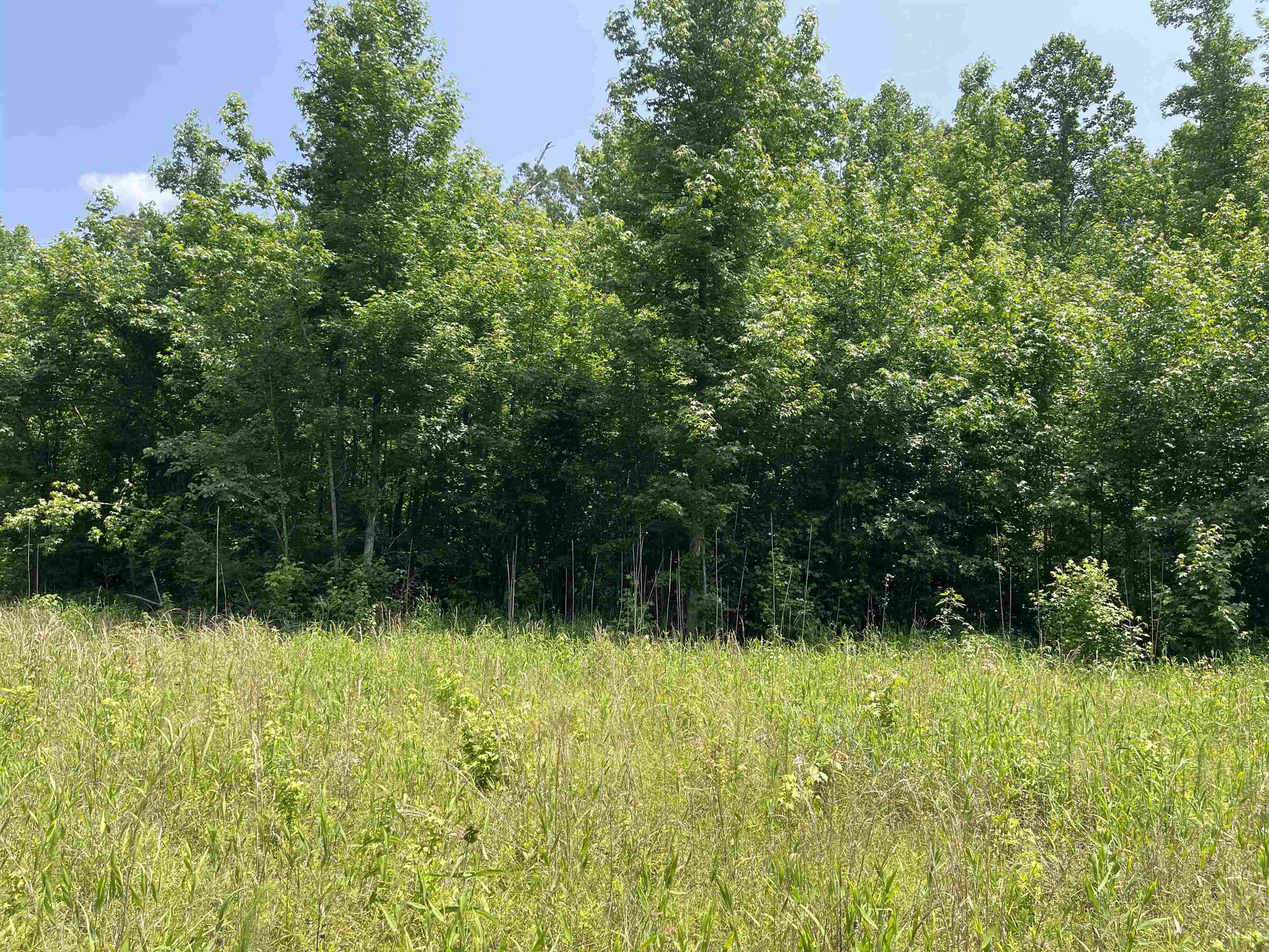 2460 Highway 421 Boone, NC 28607 - Photo 16 of 18 a view of outdoor space with a lake view