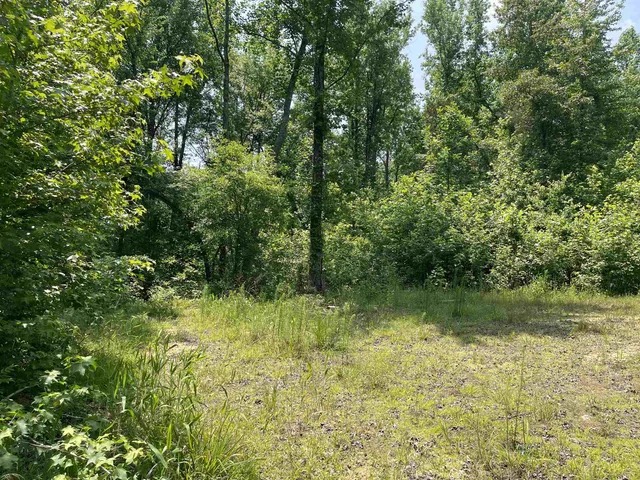 a view of outdoor space and a yard
