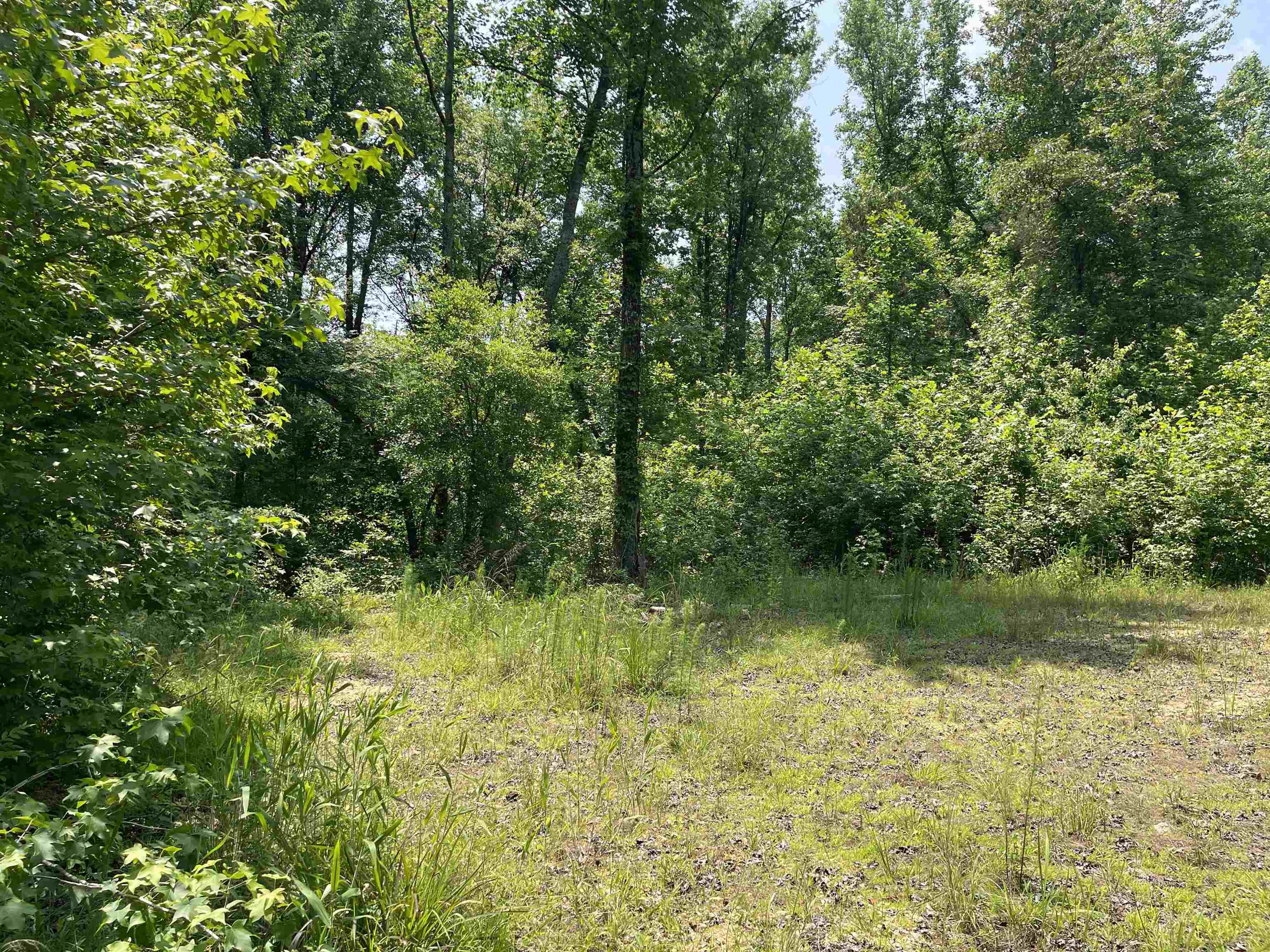 2460 Highway 421 Boone, NC 28607 - Photo 18 of 18 a view of outdoor space and a yard