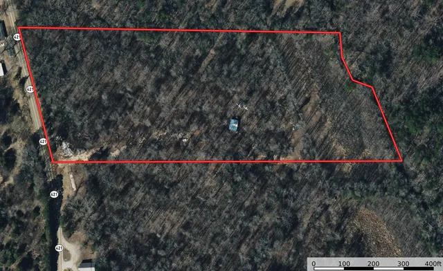 a view of a dry yard