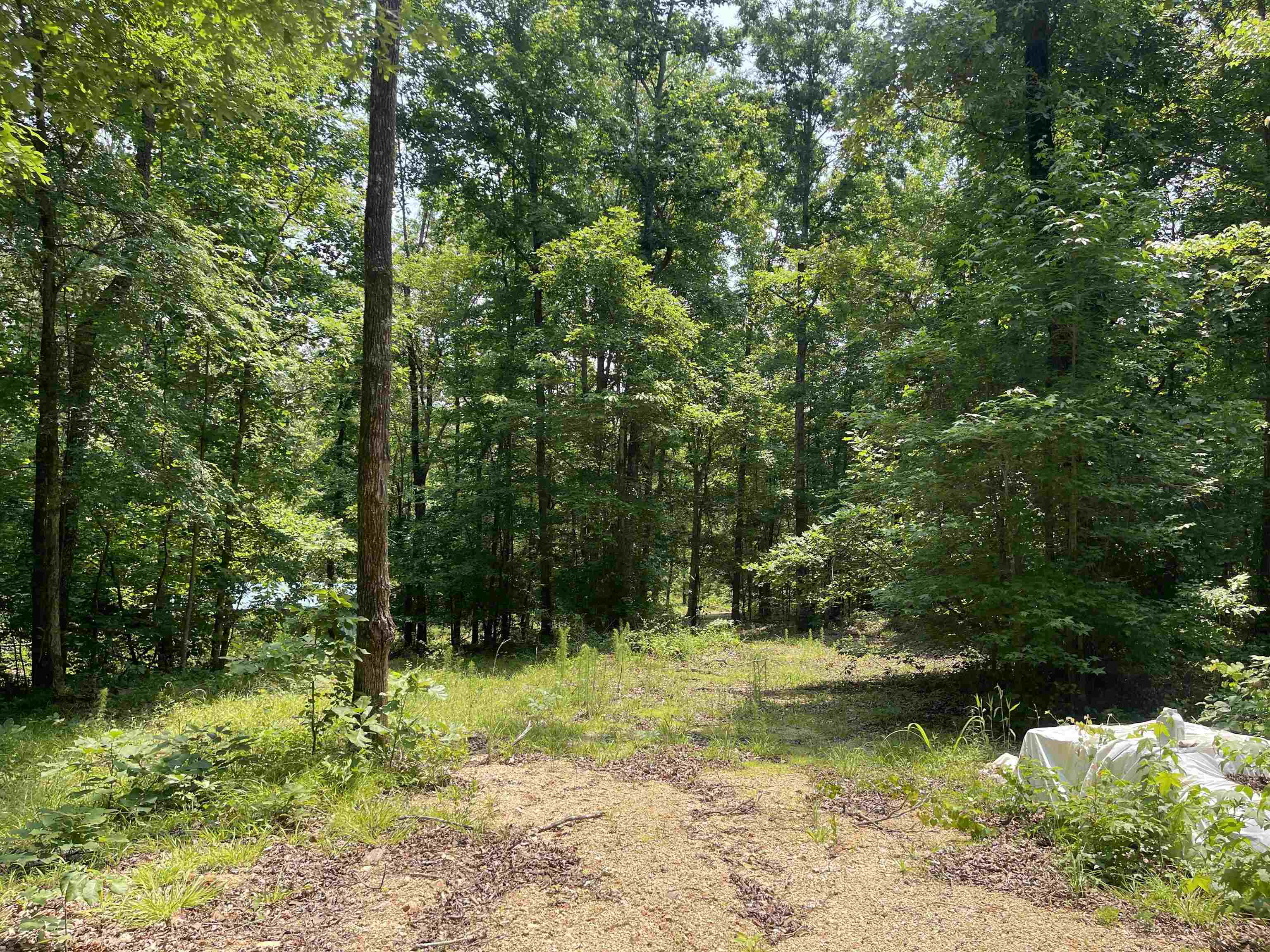 2460 Highway 421 Boone, NC 28607 - Photo 6 of 18 a view of outdoor space and a lake view