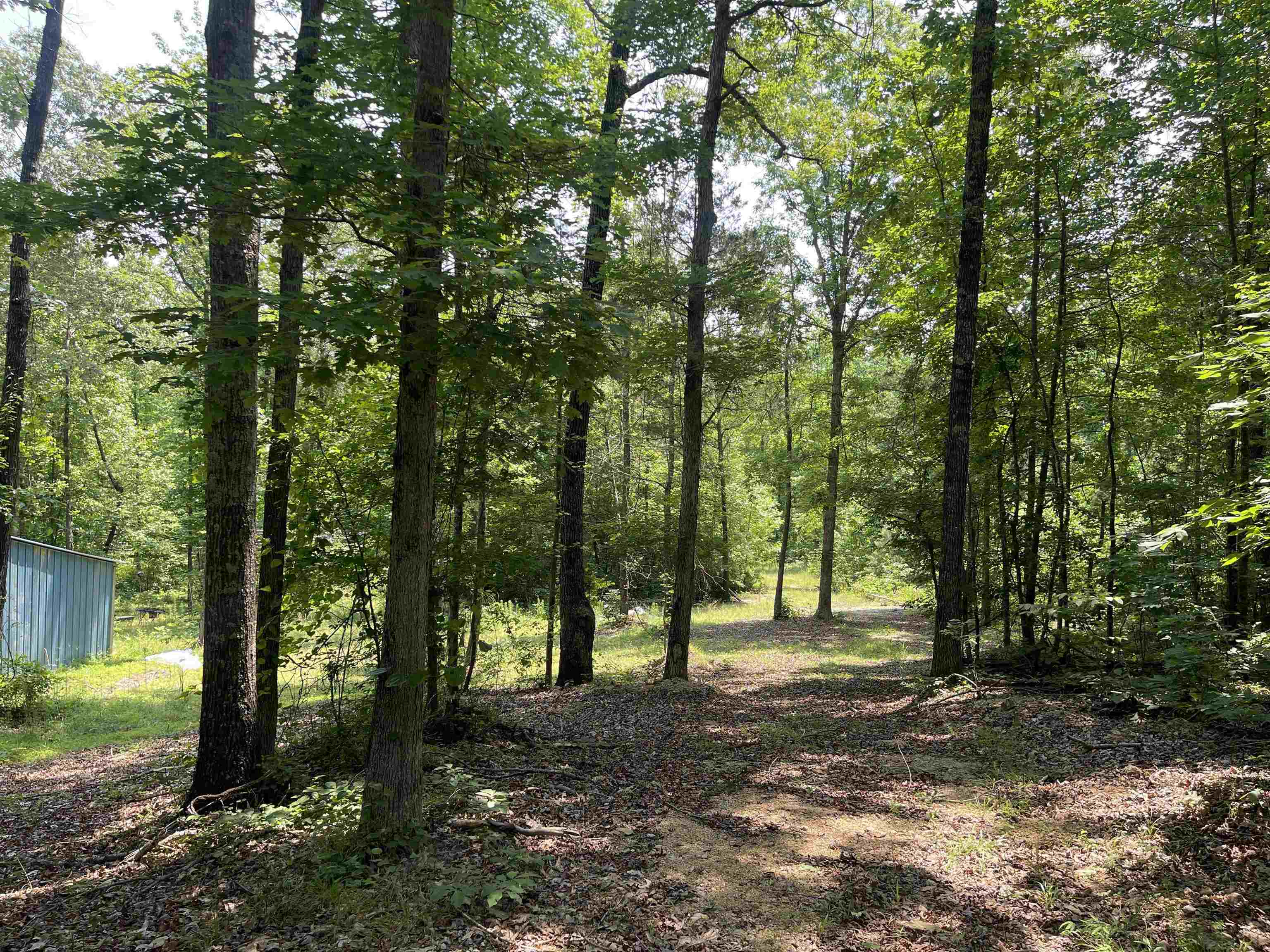 2460 Highway 421 Boone, NC 28607 - Photo 7 of 18 a view of a forest with trees