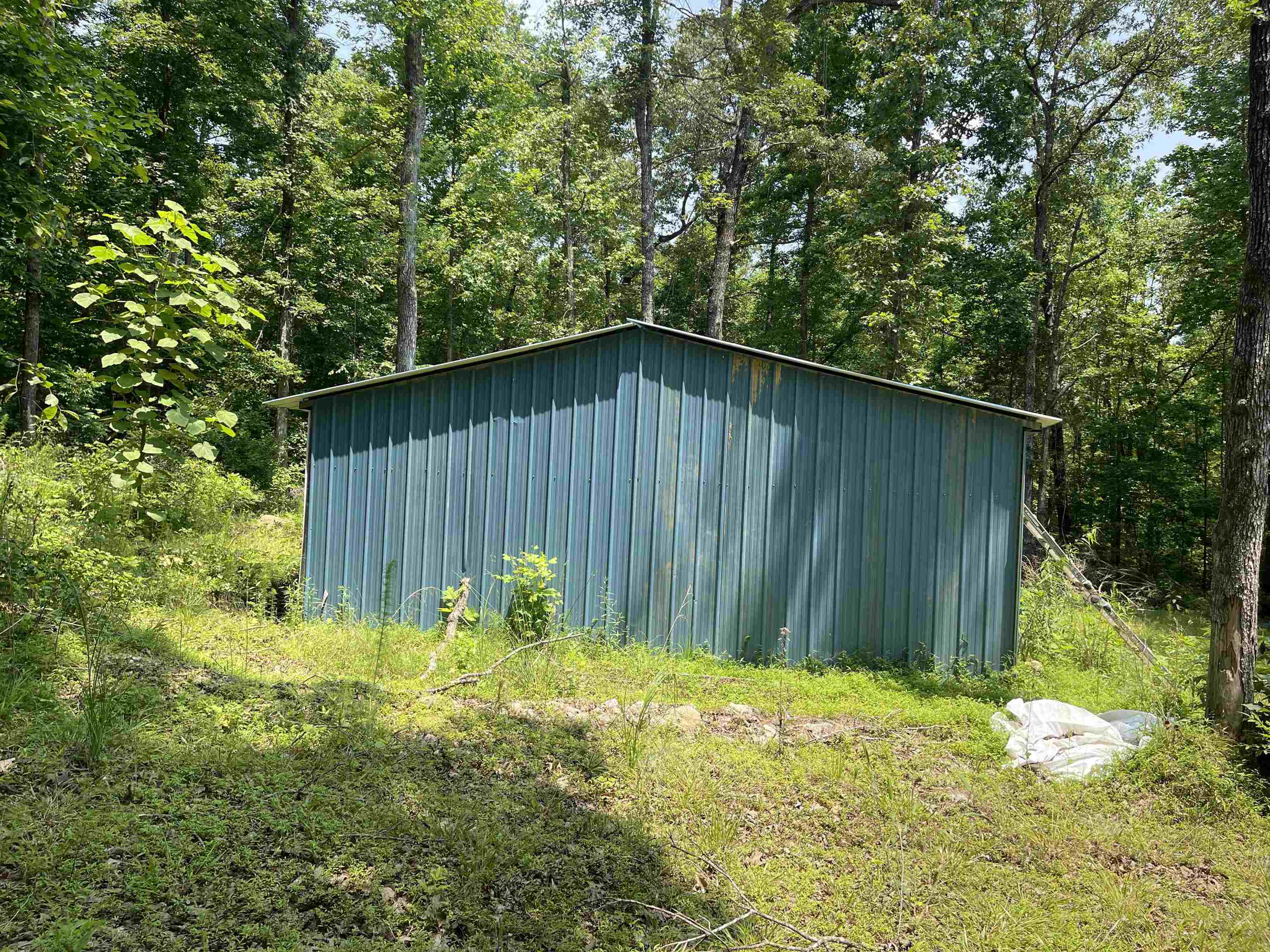 2460 Highway 421 Boone, NC 28607 - Photo 8 of 18 a backyard of a house with lots of green space