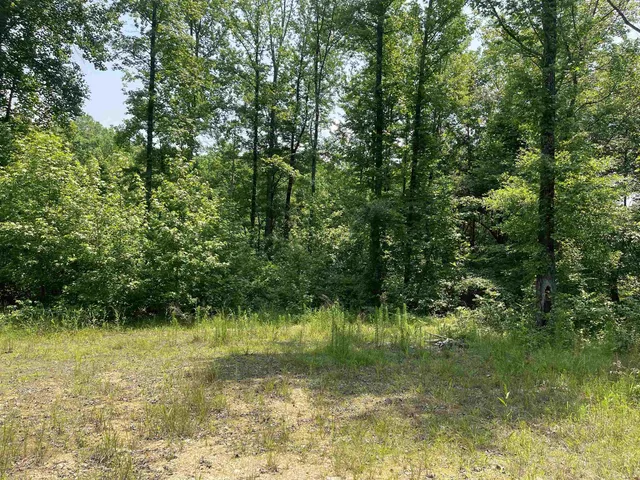 a view of outdoor space with a lake view