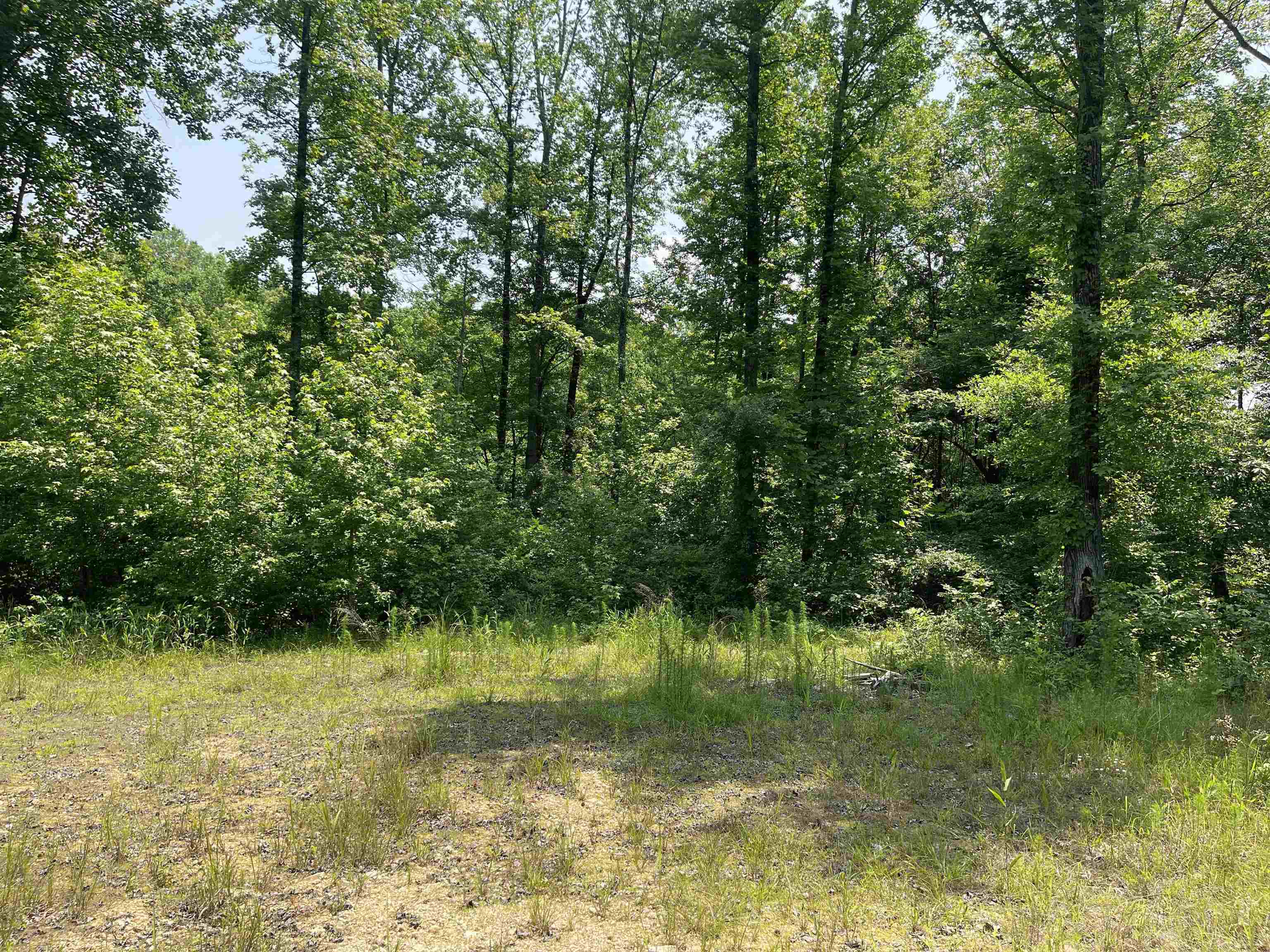 2460 Highway 421 Boone, NC 28607 - Photo 10 of 18 a view of outdoor space with a lake view