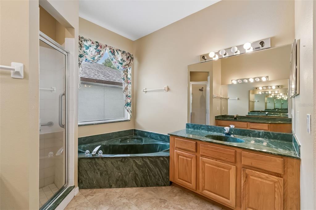 10118 Shortwood Lane Orlando, FL 32836 - Photo 24 of 53 a bathroom with a granite countertop sink and a mirror