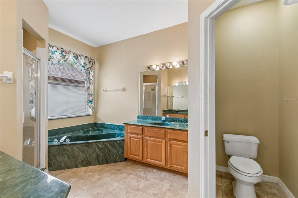 10118 Shortwood Lane Orlando, FL 32836 - Photo 25 of 53 a bathroom with a granite countertop sink a toilet and a mirror