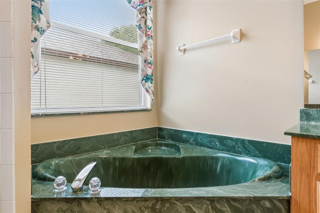 10118 Shortwood Lane Orlando, FL 32836 - Photo 27 of 53