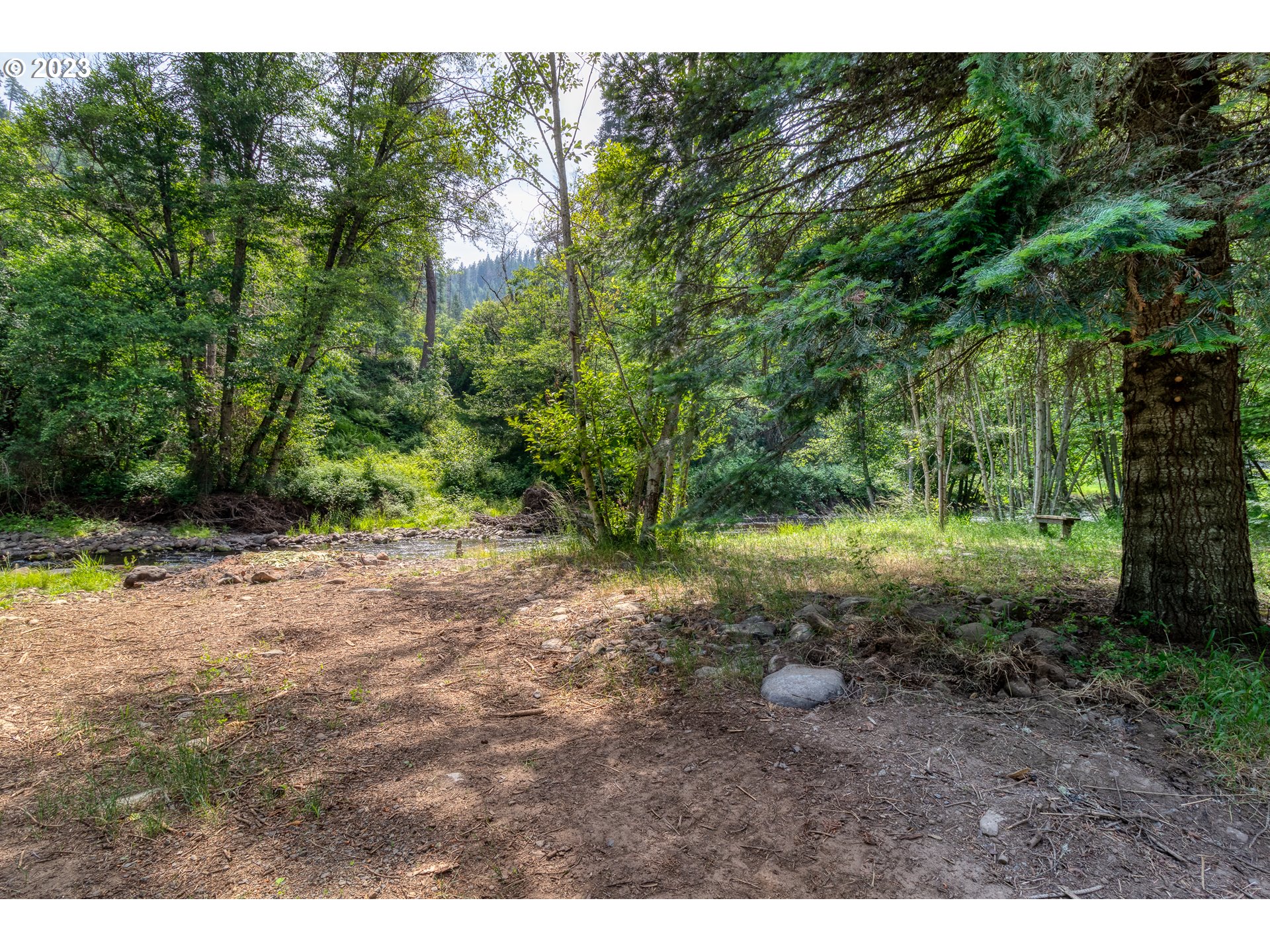 61174 Mill Creek Road Milton Freewater, OR 97862 - Photo 23 of 25 a view of a forest with trees in the background