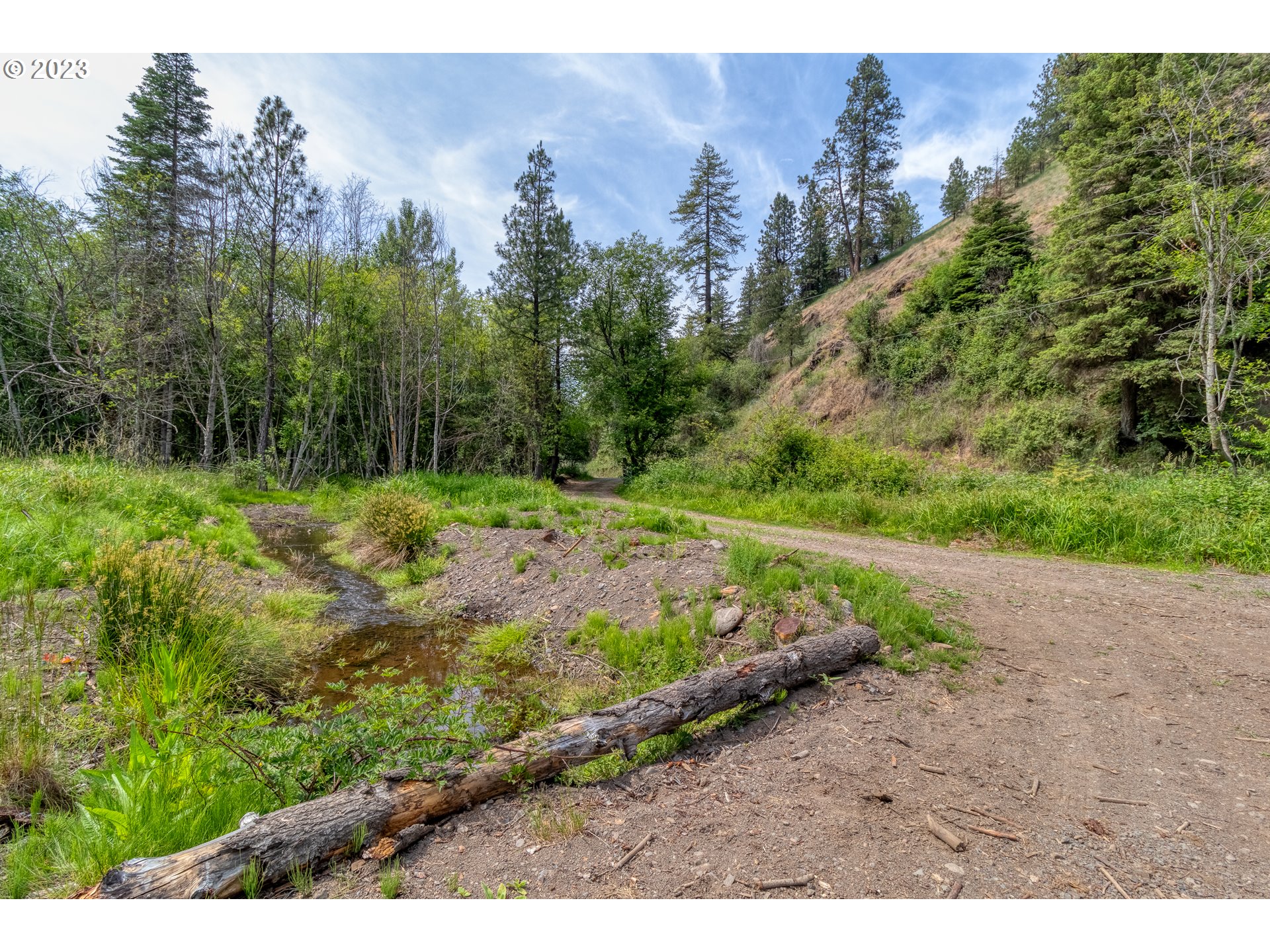 61174 Mill Creek Road Milton Freewater, OR 97862 - Photo 25 of 25 a view of a yard with a tree