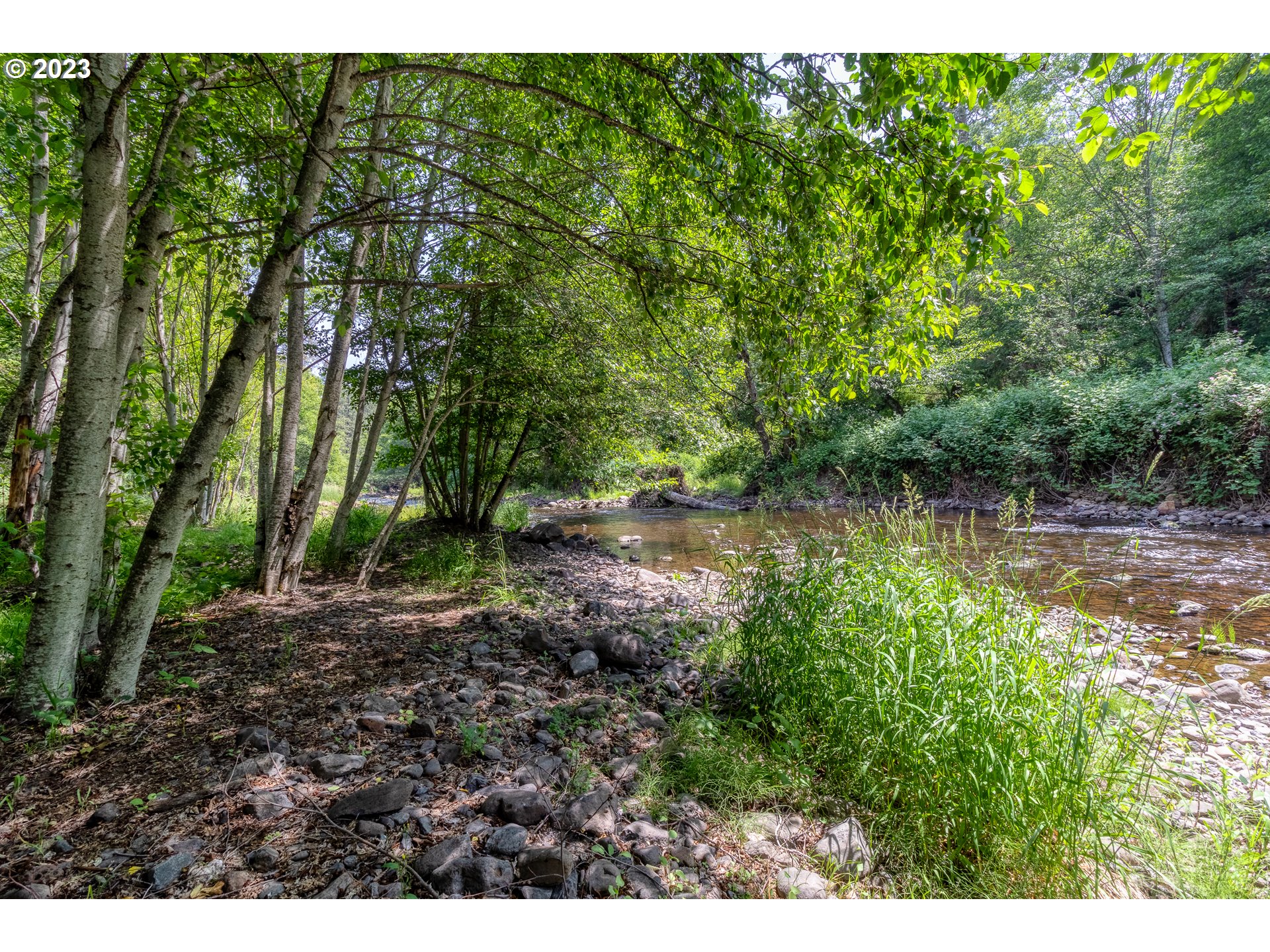 61174 Mill Creek Road Milton Freewater, OR 97862 - Photo 5 of 25 a view of a lake with lots of trees