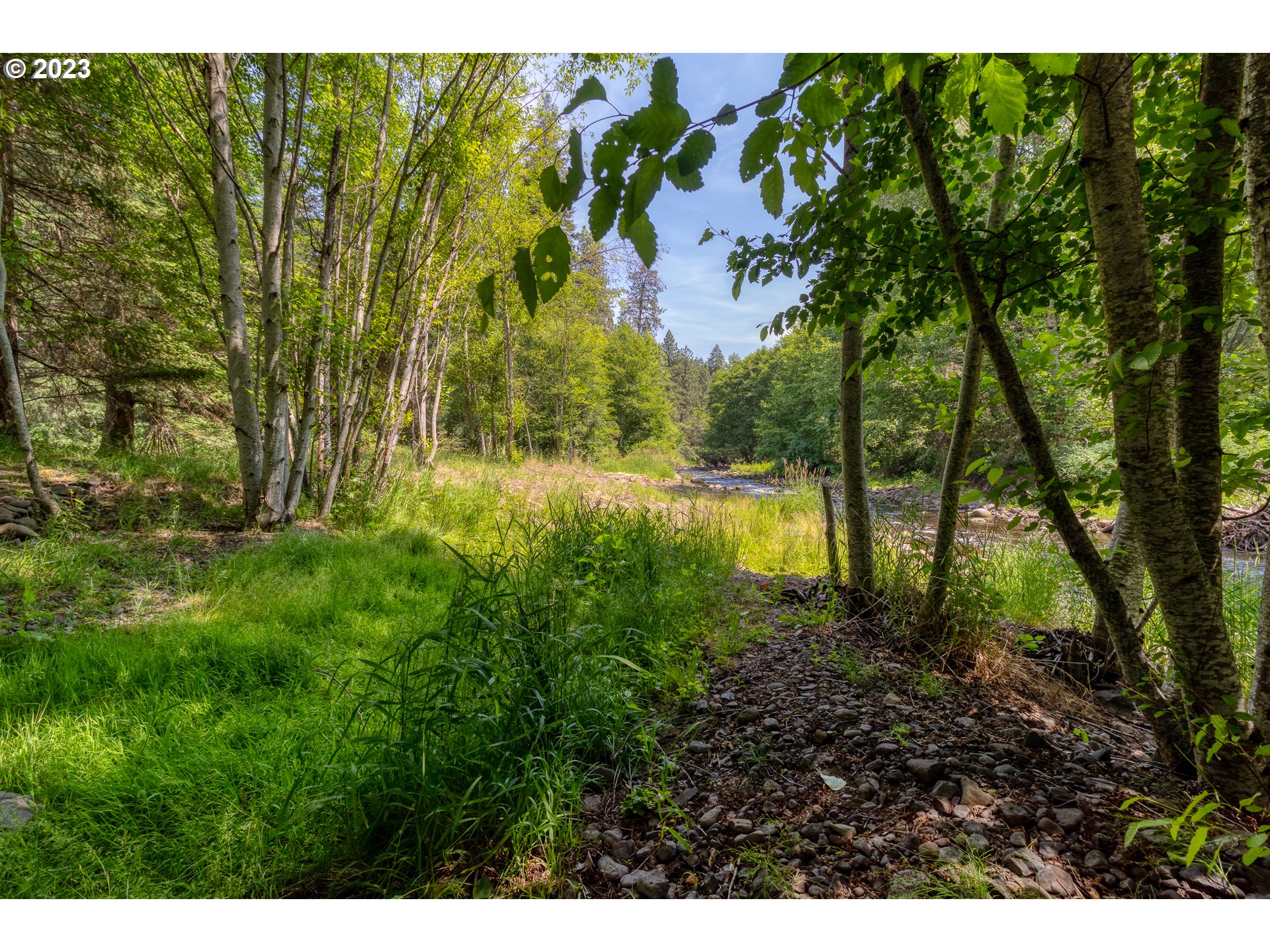 61174 Mill Creek Road Milton Freewater, OR 97862 - Photo 6 of 25 a view of swimming pool from a yard