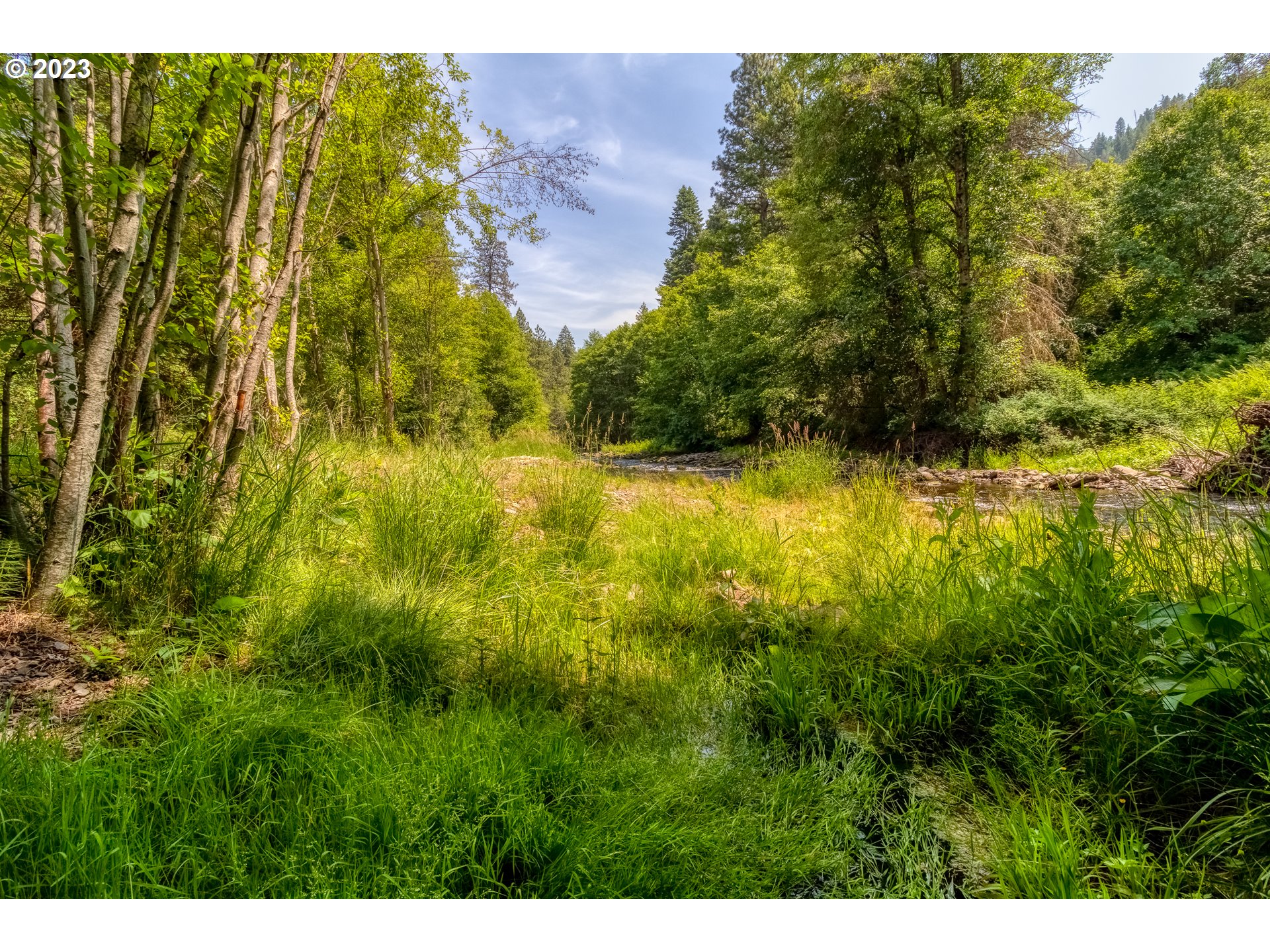 61174 Mill Creek Road Milton Freewater, OR 97862 - Photo 7 of 25 a view of swimming pool from a yard