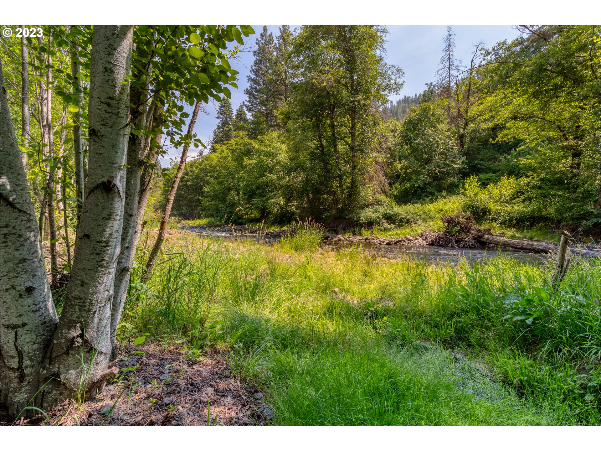 61174 Mill Creek Road Milton Freewater, OR 97862 - Photo 8 of 25 a view of open area with green space