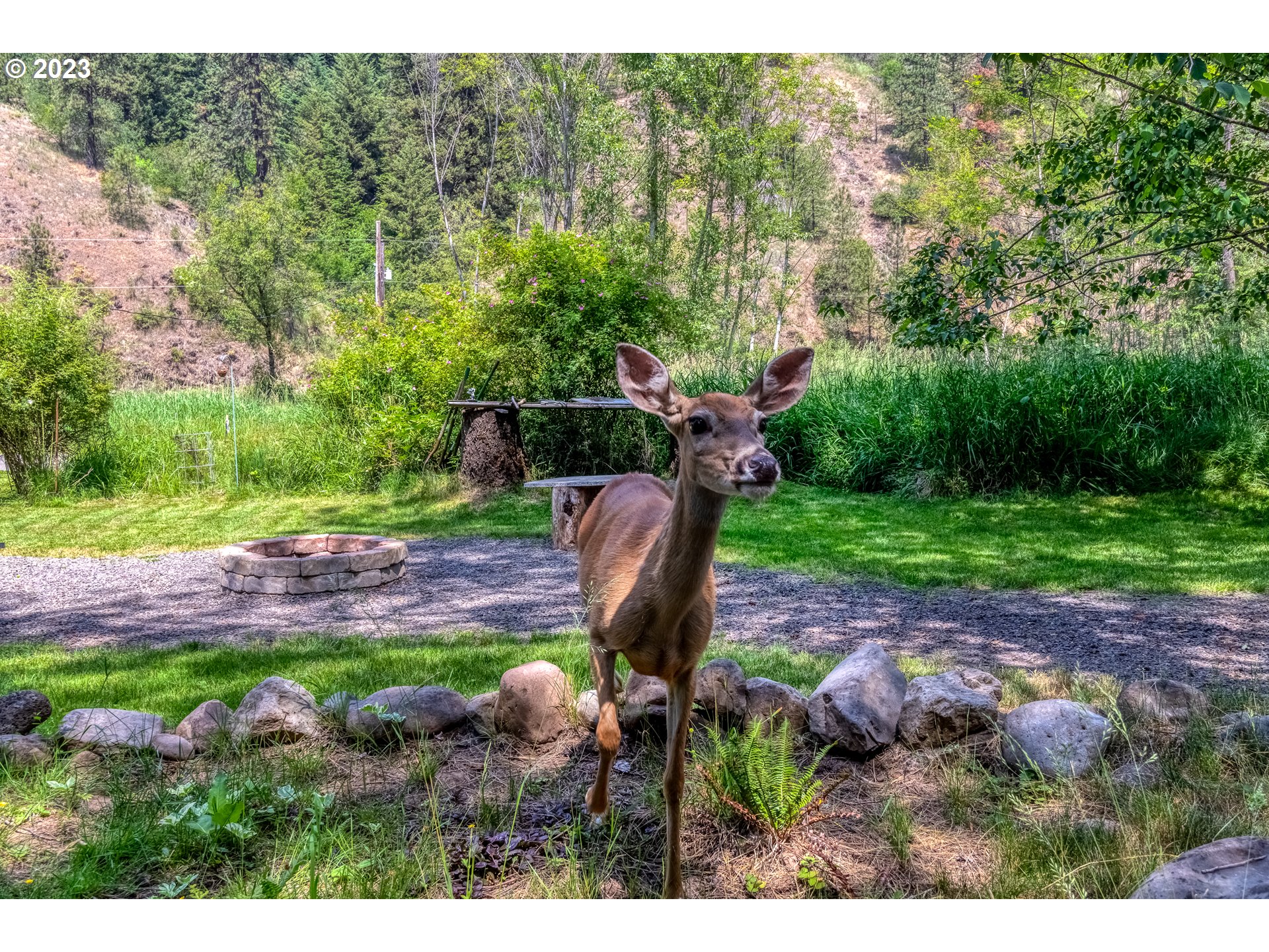 61174 Mill Creek Road Milton Freewater, OR 97862 - Photo 9 of 25 a backyard of a house with lots of green space