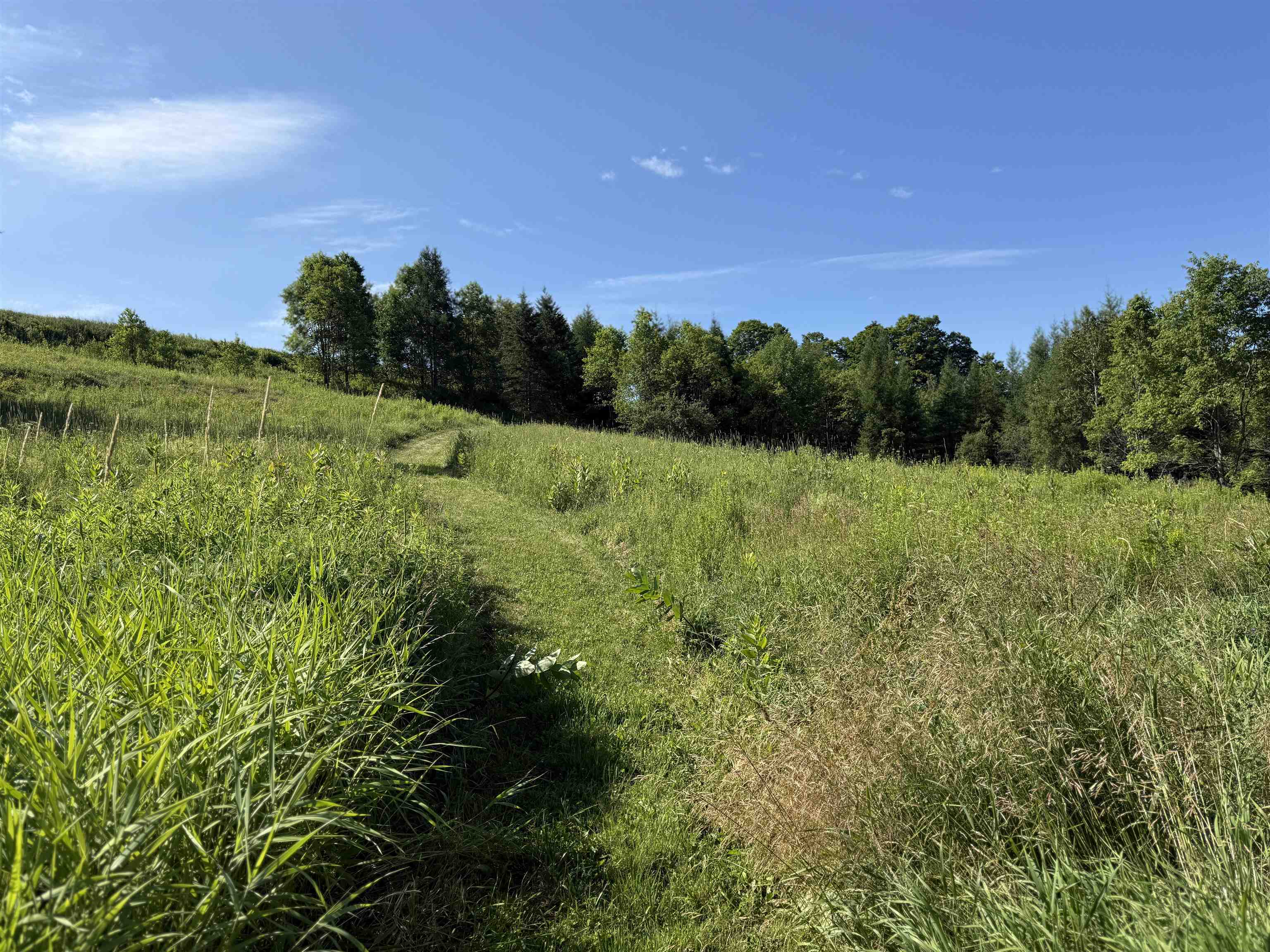 246 Gray Road Plainfield, VT 05667 - Photo 4 of 57 Gallery Image 4
