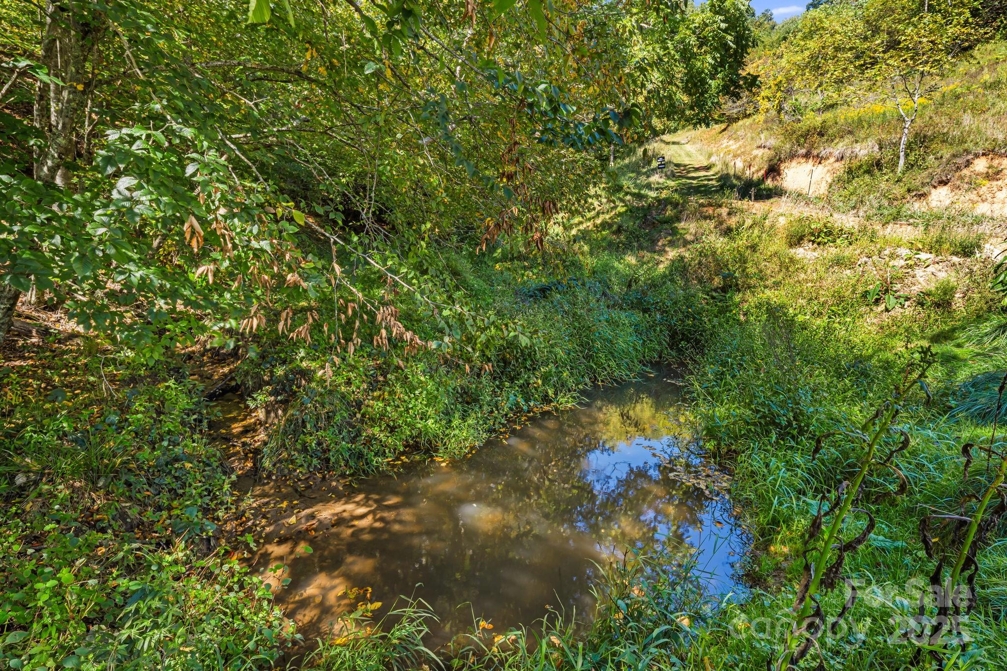 0 Maney Br Road Burnsville, NC 28714 - Photo 12 of 48 a view of a tree in a yard