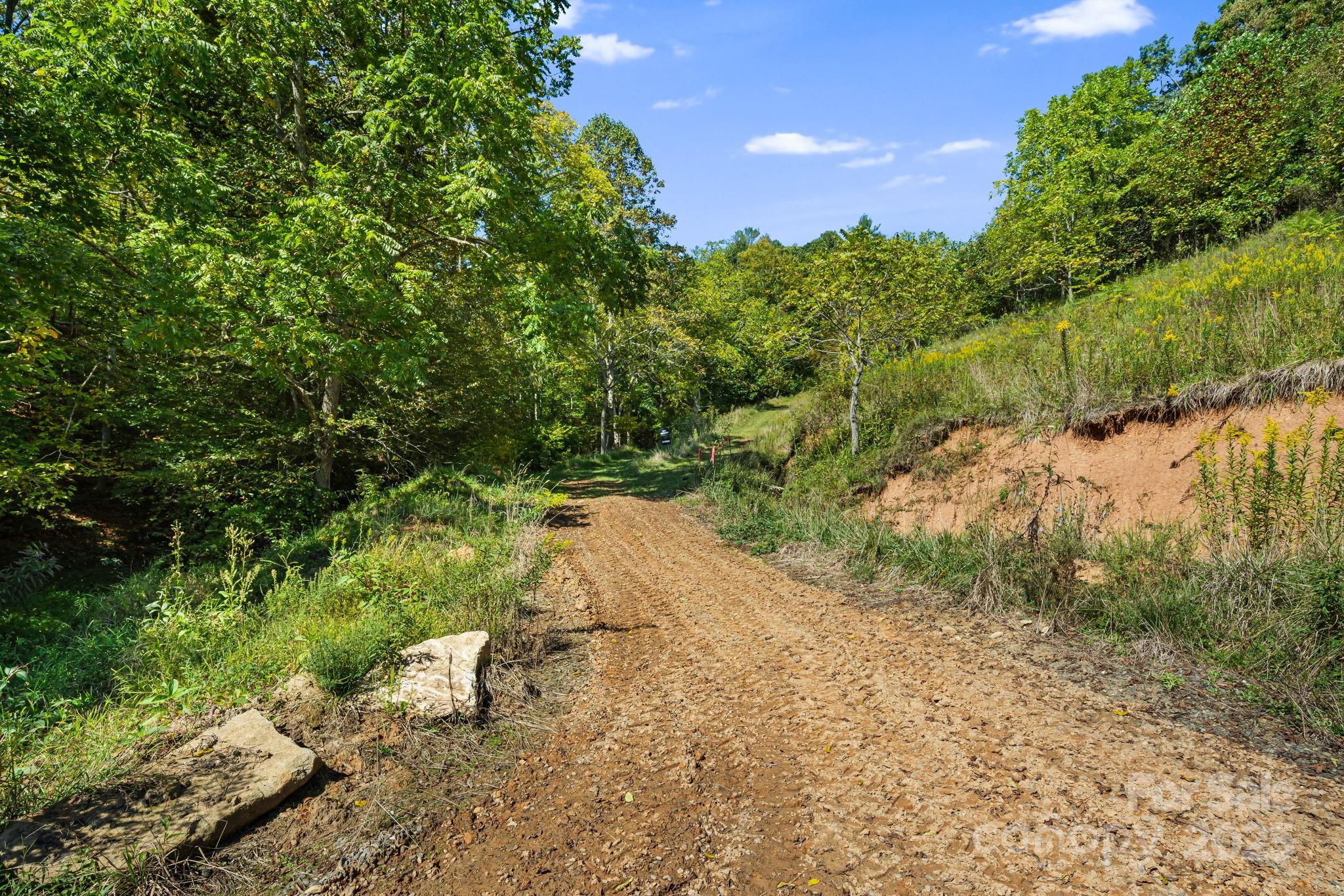 0 Maney Br Road Burnsville, NC 28714 - Photo 13 of 48 a view of a yard with a tree