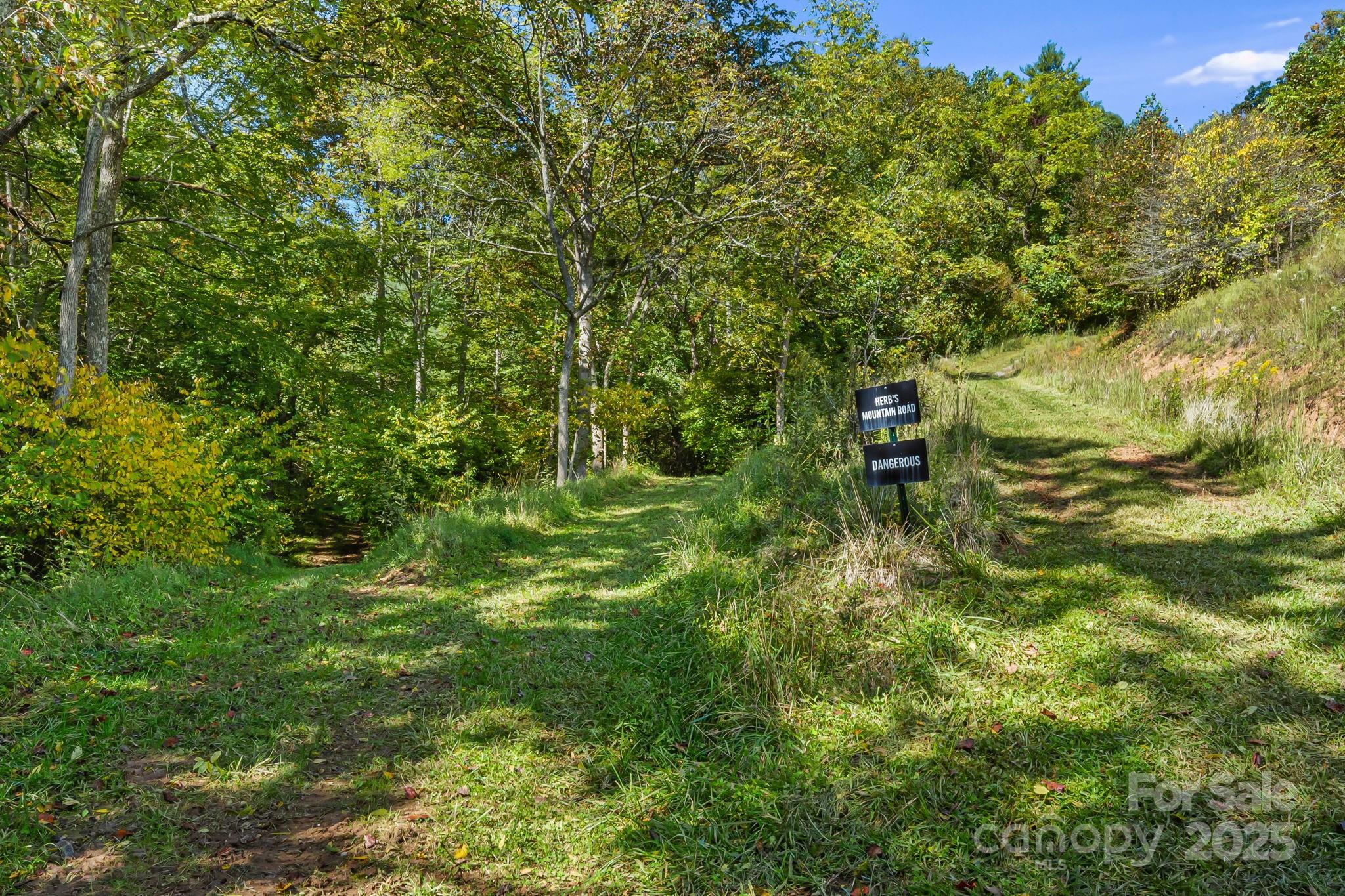 0 Maney Br Road Burnsville, NC 28714 - Photo 14 of 48 a backyard of a house with lots of green space and trees all around