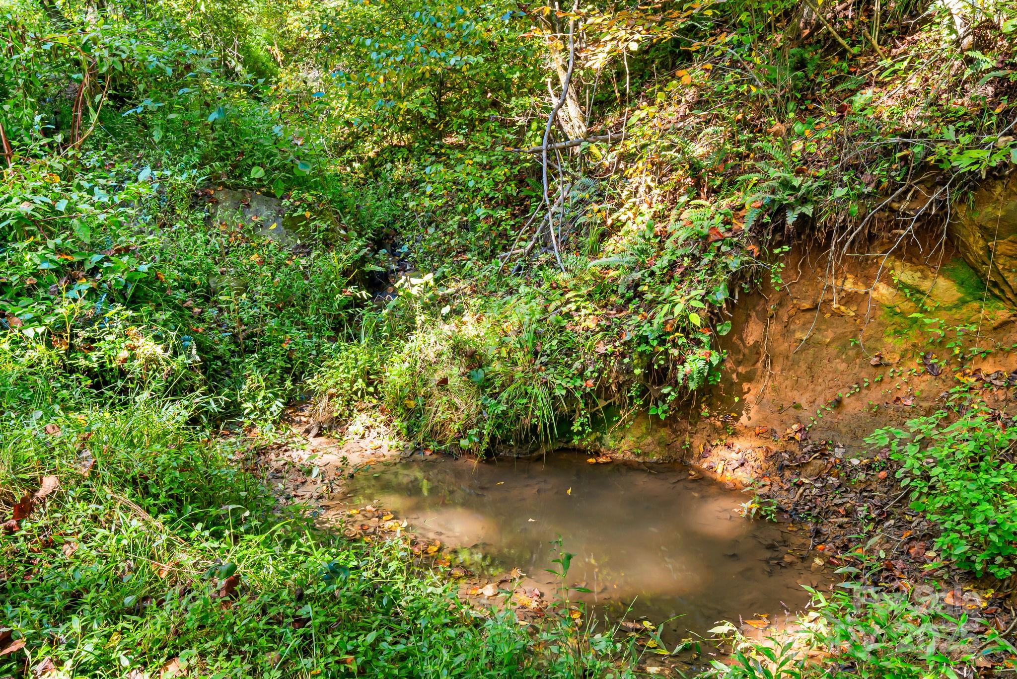 0 Maney Br Road Burnsville, NC 28714 - Photo 15 of 48 a view of a yard