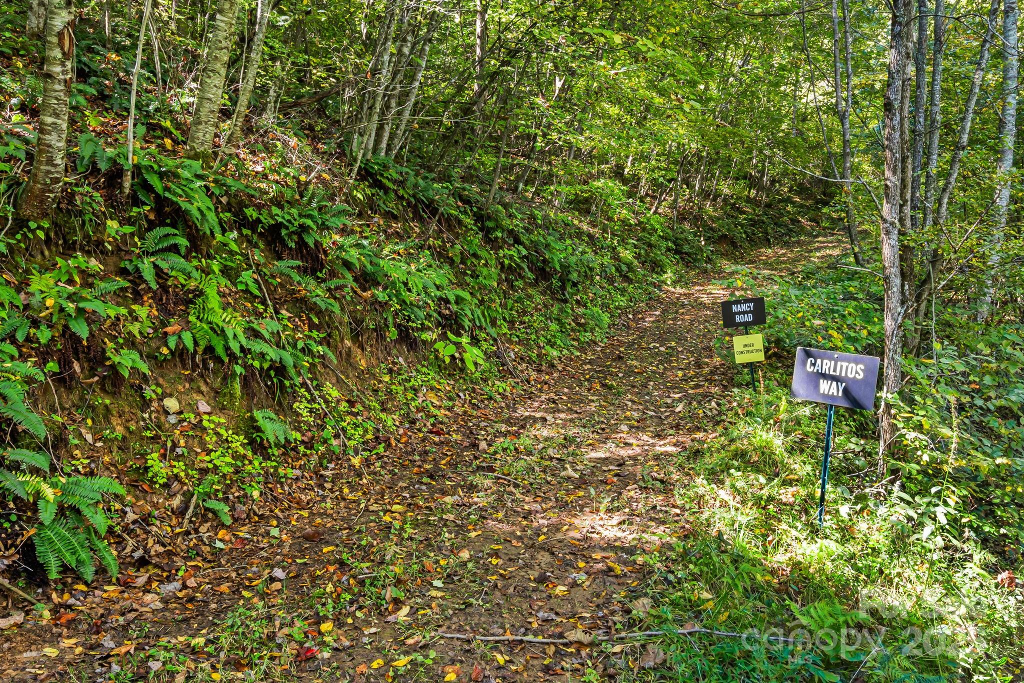 0 Maney Br Road Burnsville, NC 28714 - Photo 16 of 48 a view of a wooden fence and trees