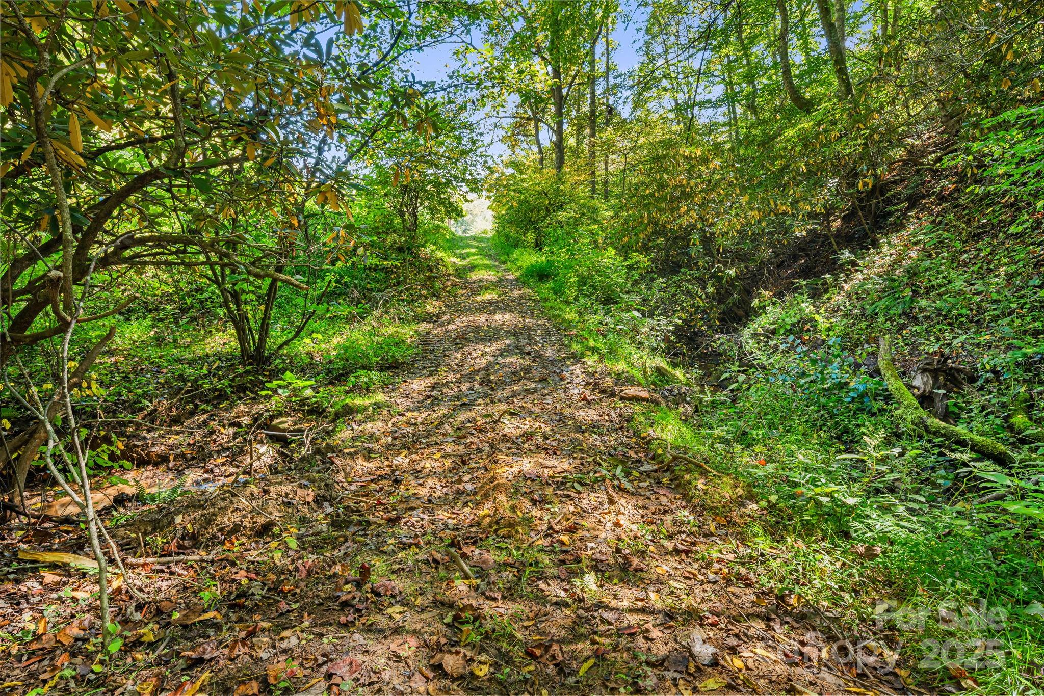 0 Maney Br Road Burnsville, NC 28714 - Photo 20 of 48 a view of a yard