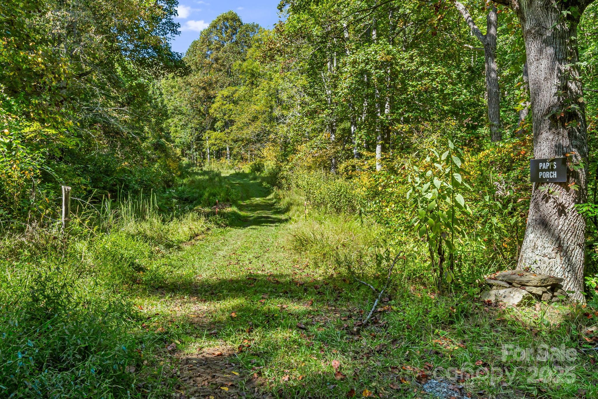 0 Maney Br Road Burnsville, NC 28714 - Photo 22 of 48 a view of a lush green space
