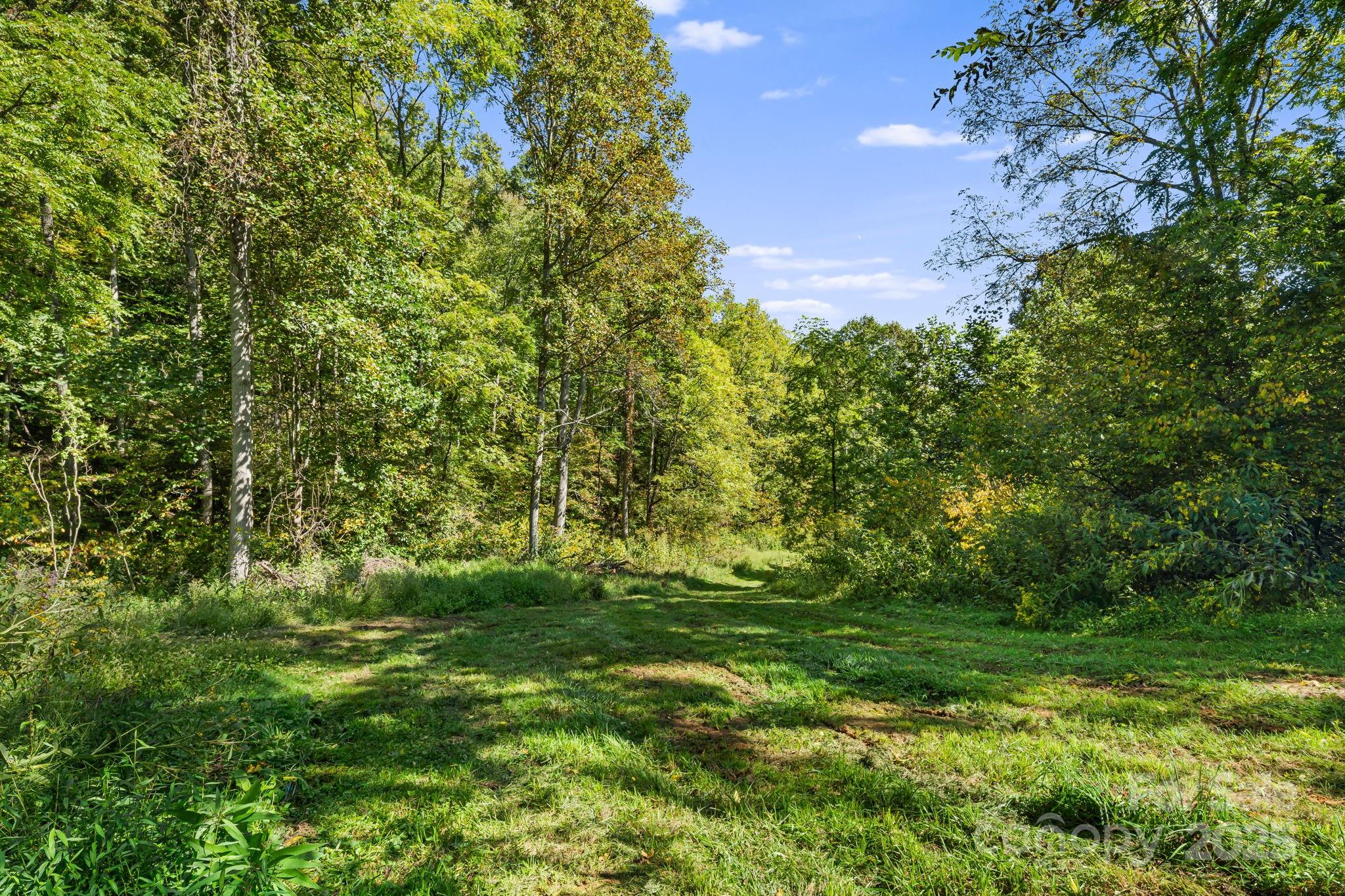 0 Maney Br Road Burnsville, NC 28714 - Photo 23 of 48 a yard with a house