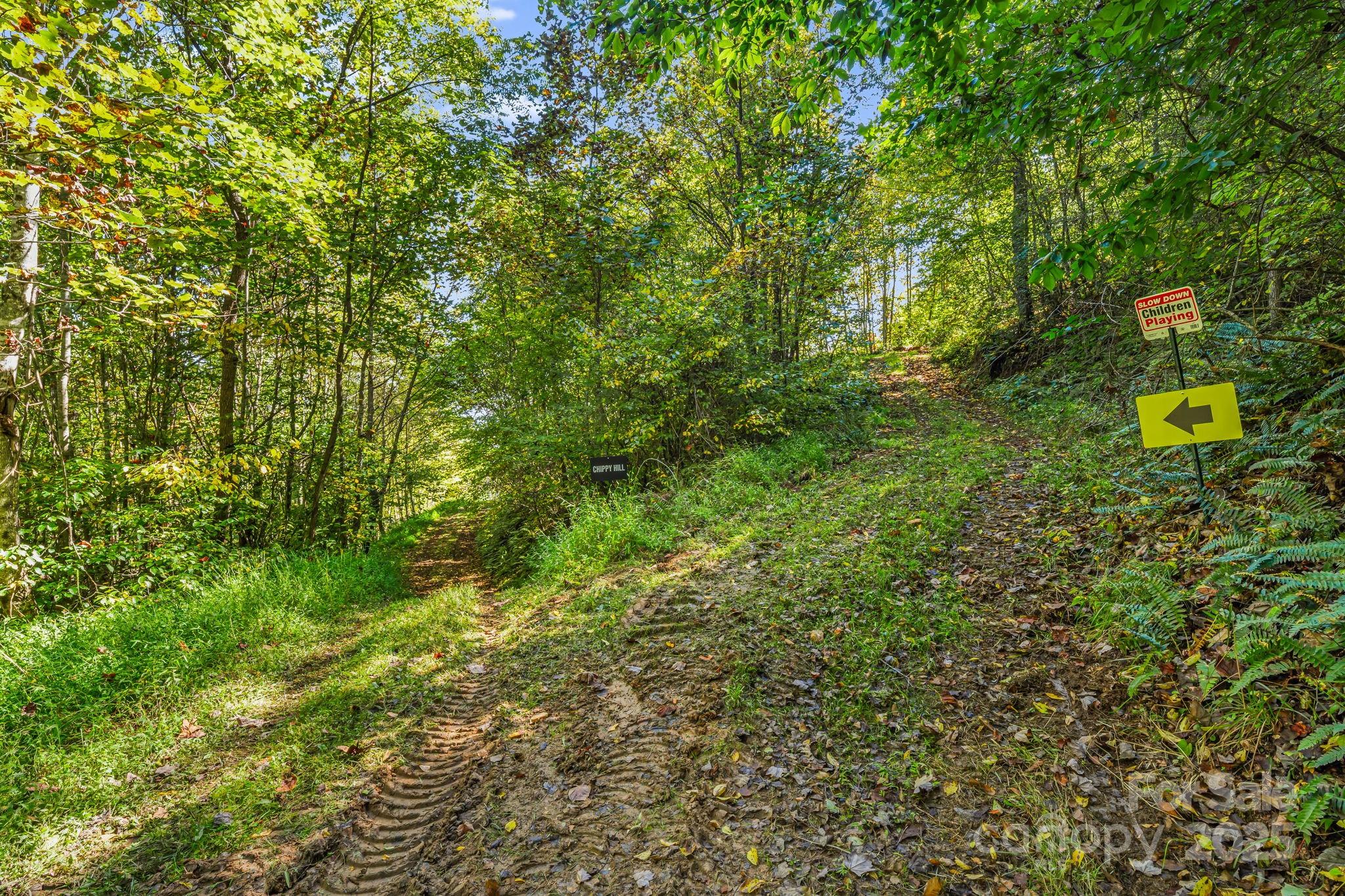 0 Maney Br Road Burnsville, NC 28714 - Photo 25 of 48 a view of a yard with plants and large trees
