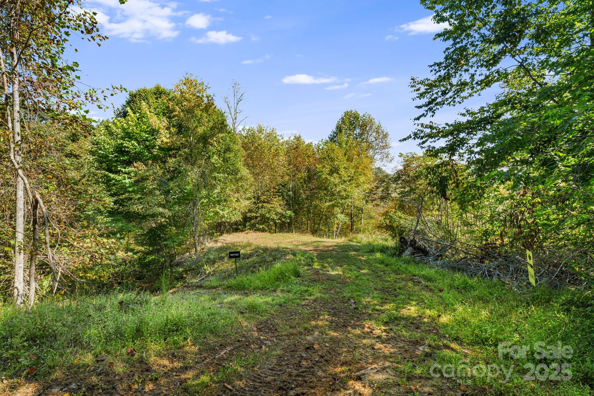 0 Maney Br Road Burnsville, NC 28714 - Photo 26 of 48 a view of yard with green space
