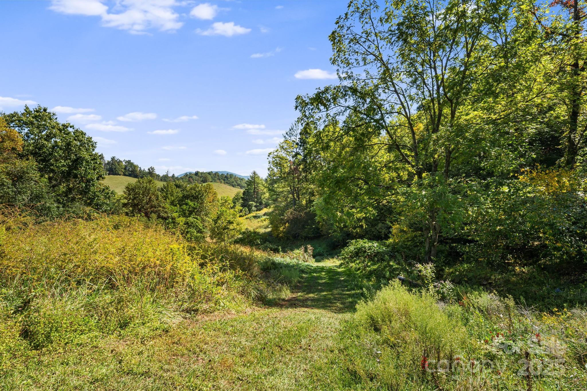 0 Maney Br Road Burnsville, NC 28714 - Photo 31 of 48 a view of a garden