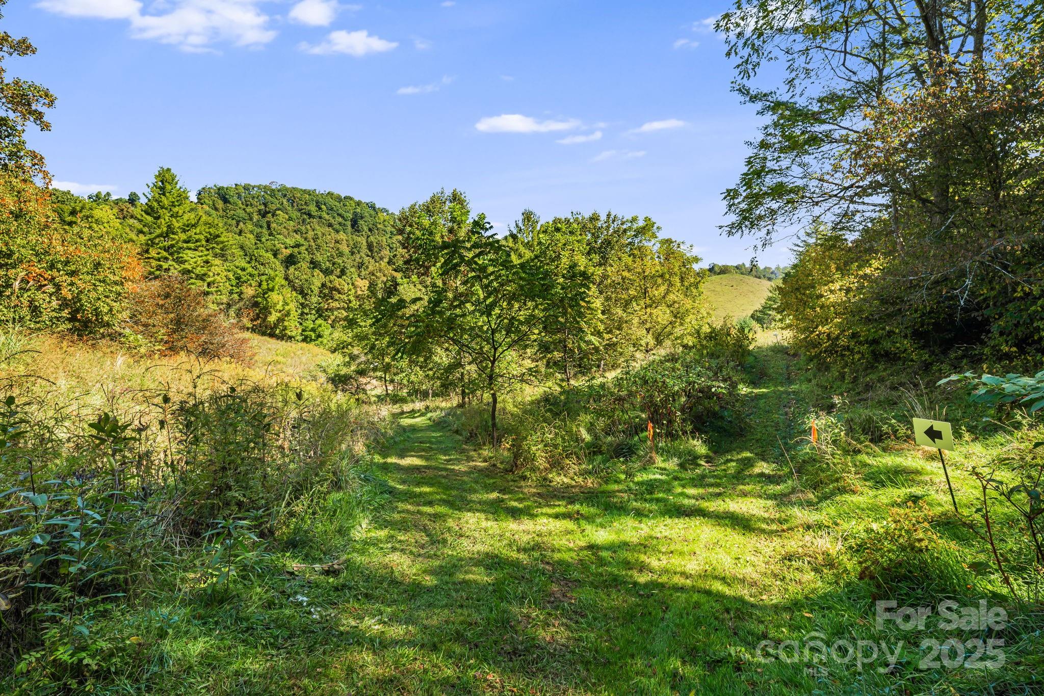 0 Maney Br Road Burnsville, NC 28714 - Photo 33 of 48 a backyard of a house with lots of green space and garden