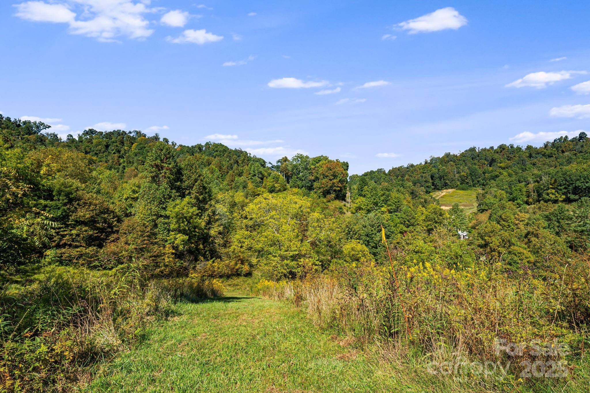 0 Maney Br Road Burnsville, NC 28714 - Photo 35 of 48 a view of a bunch of trees and bushes