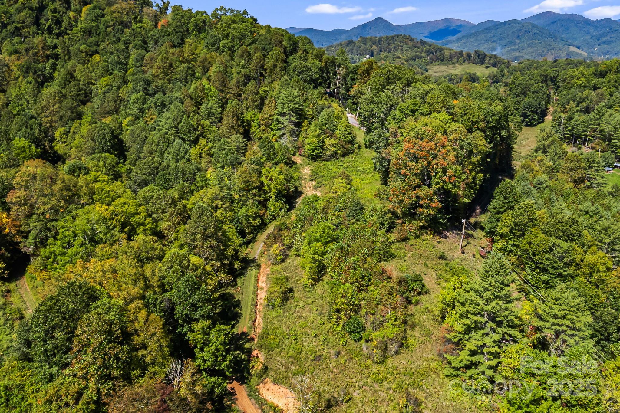 0 Maney Br Road Burnsville, NC 28714 - Photo 36 of 48 a view of a lush green forest with a mountain