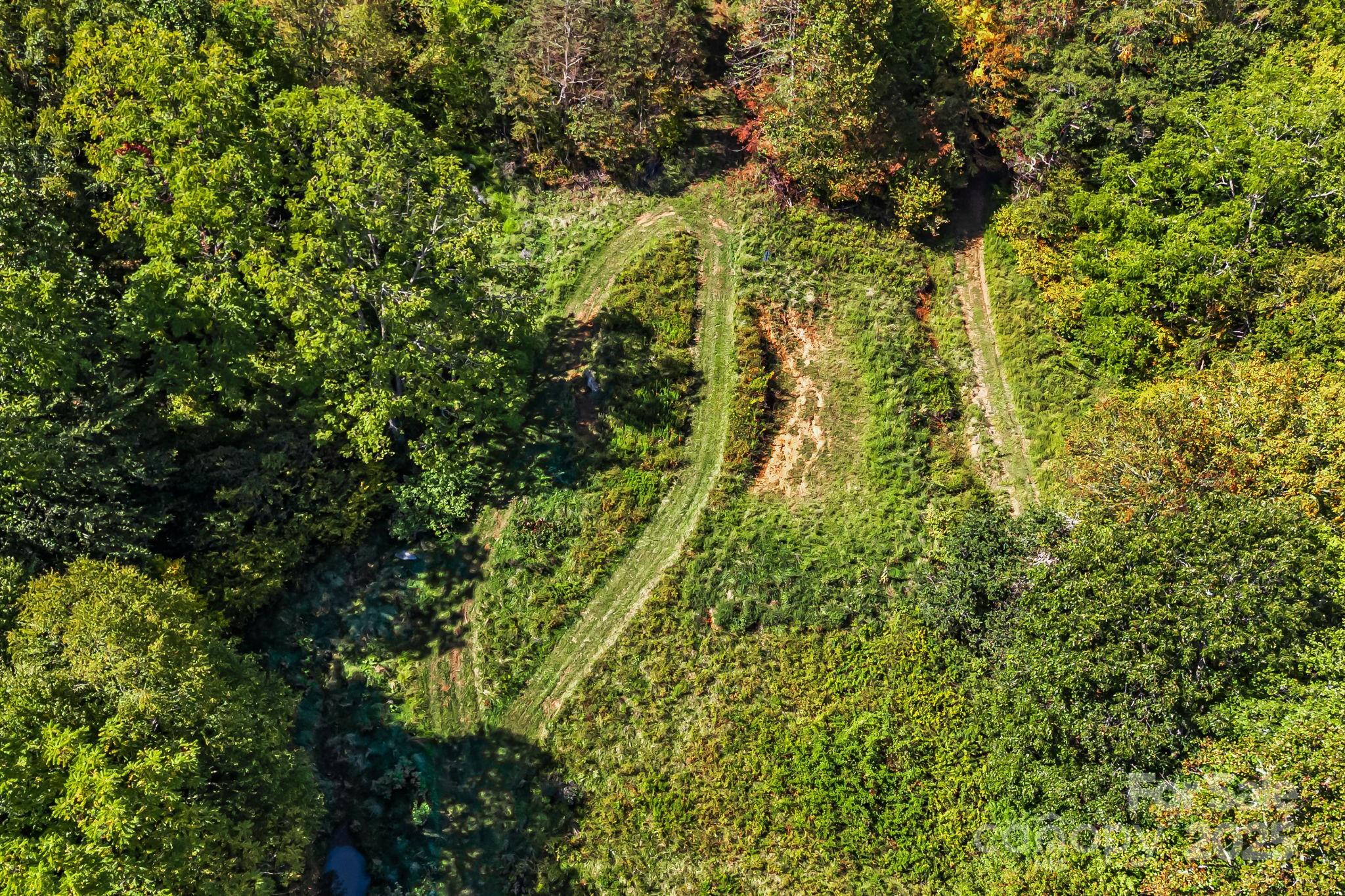 0 Maney Br Road Burnsville, NC 28714 - Photo 37 of 48 a view of a yard