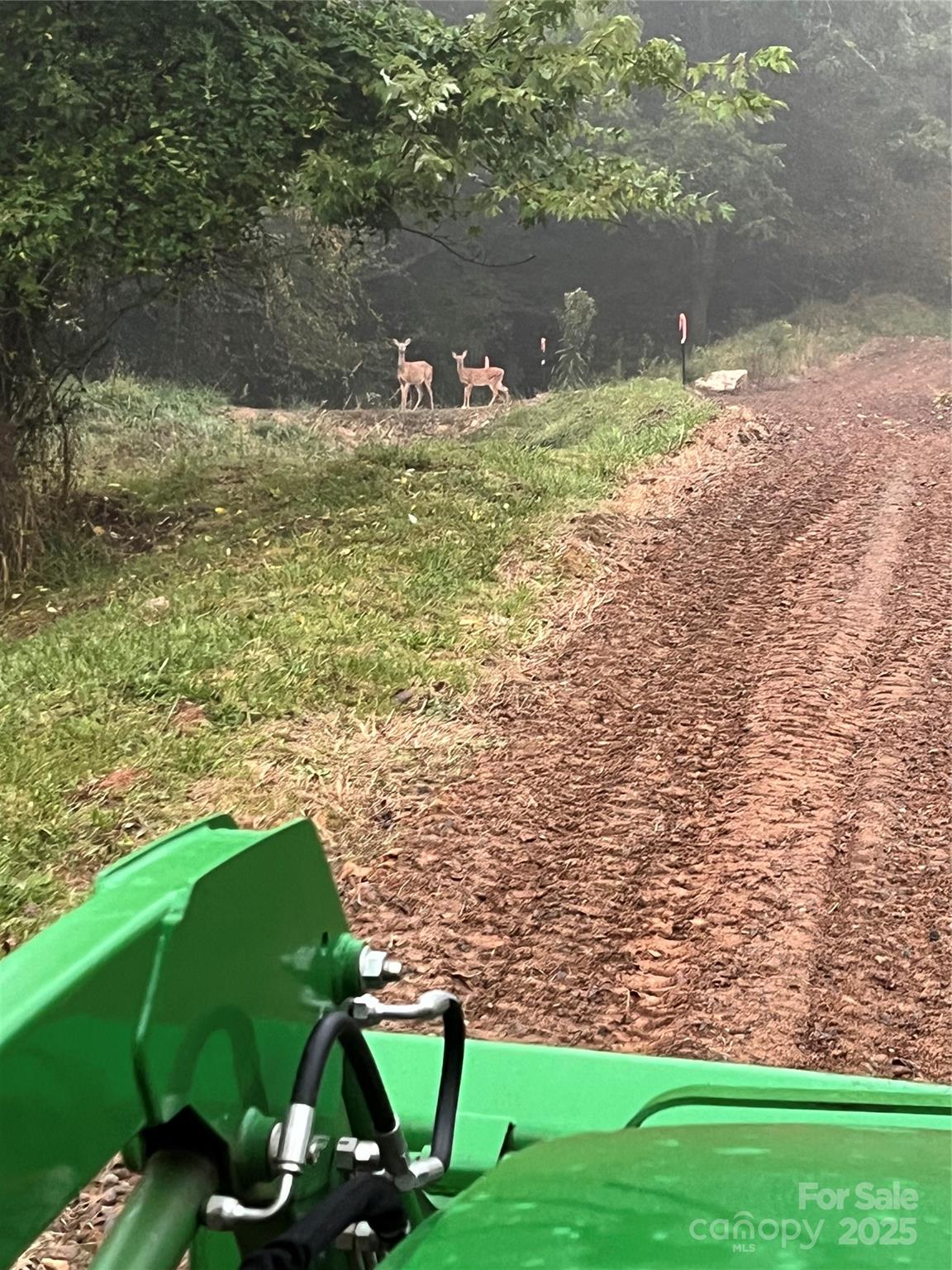 0 Maney Br Road Burnsville, NC 28714 - Photo 40 of 48 a view of a lake from a yard