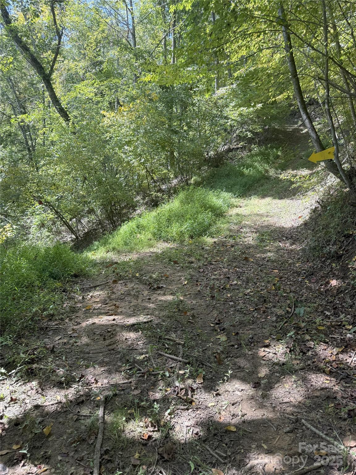 0 Maney Br Road Burnsville, NC 28714 - Photo 44 of 48 a view of outdoor space and trees
