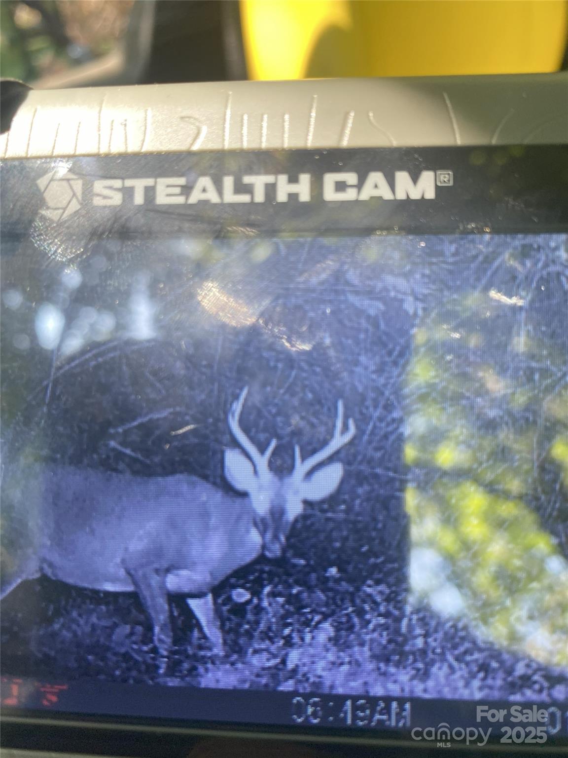 0 Maney Br Road Burnsville, NC 28714 - Photo 45 of 48 a view of water