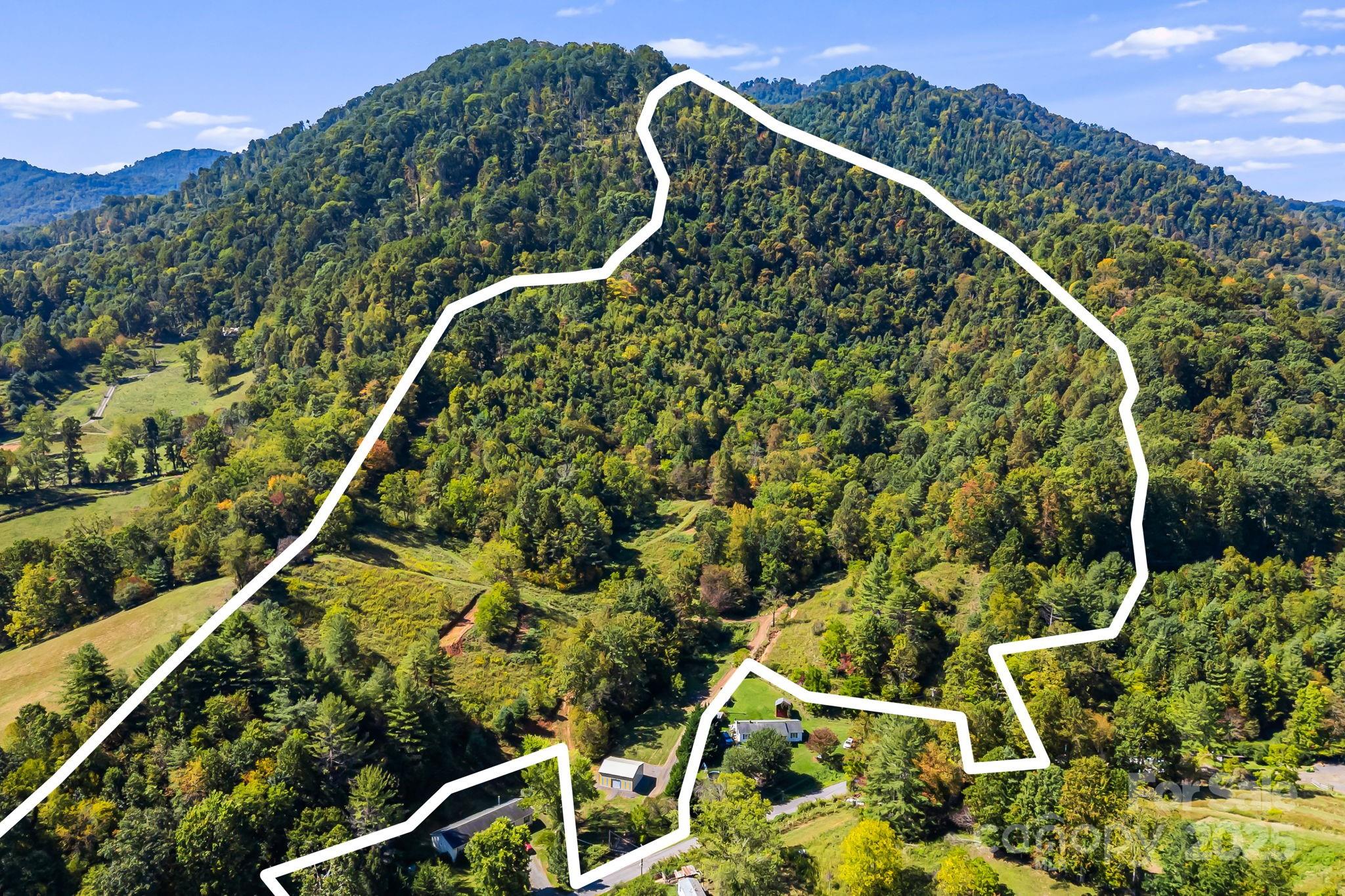 0 Maney Br Road Burnsville, NC 28714 - Photo 48 of 48 a map view of a yard