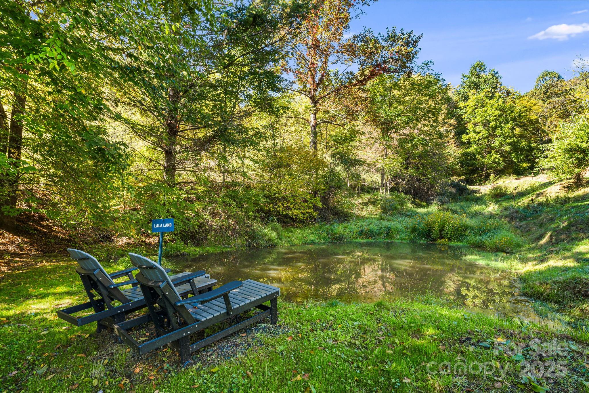 0 Maney Br Road Burnsville, NC 28714 - Photo 5 of 48 a view of a backyard with plants and a lake view