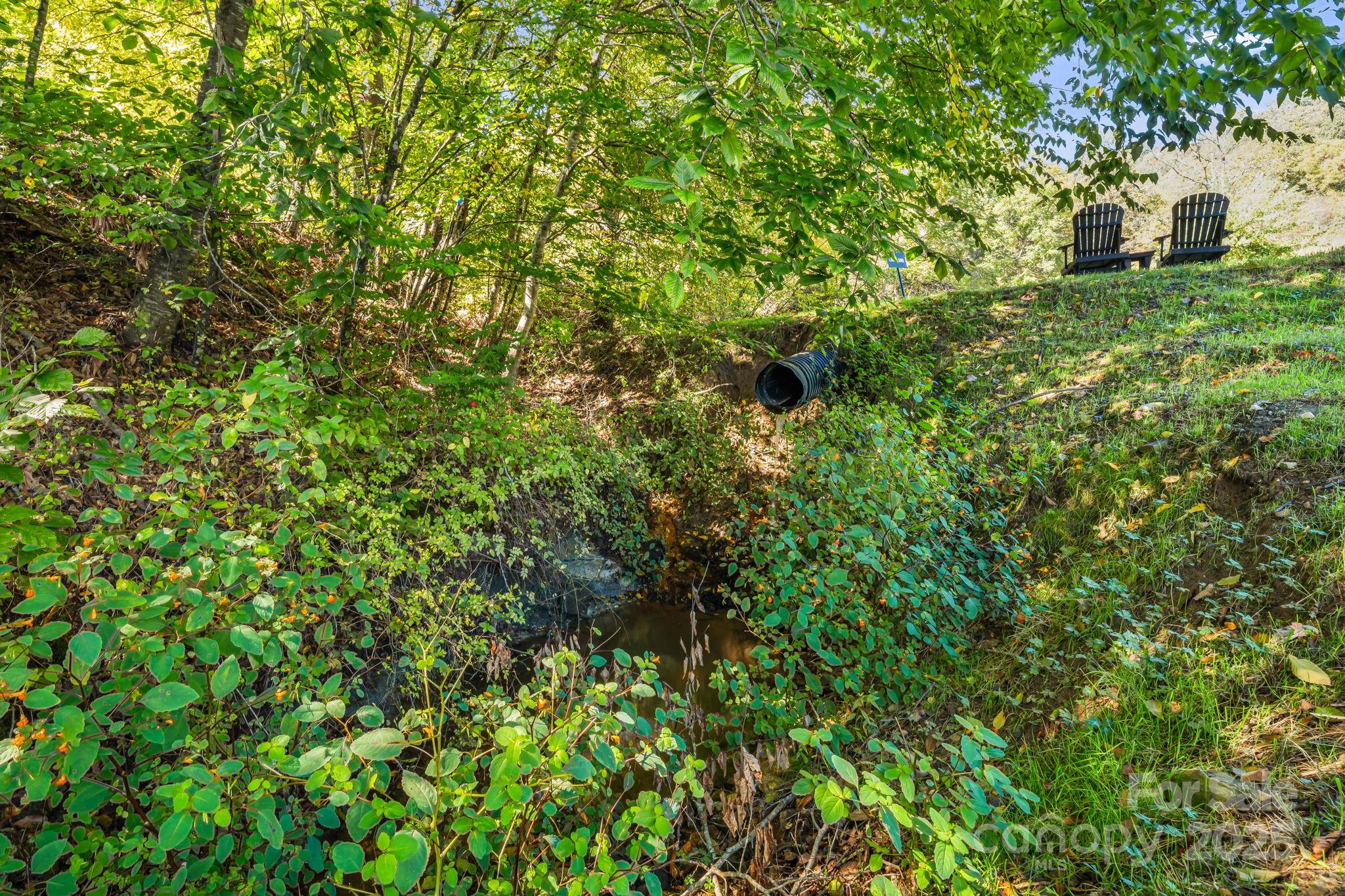 0 Maney Br Road Burnsville, NC 28714 - Photo 6 of 48 a backyard of a house with lots of green space