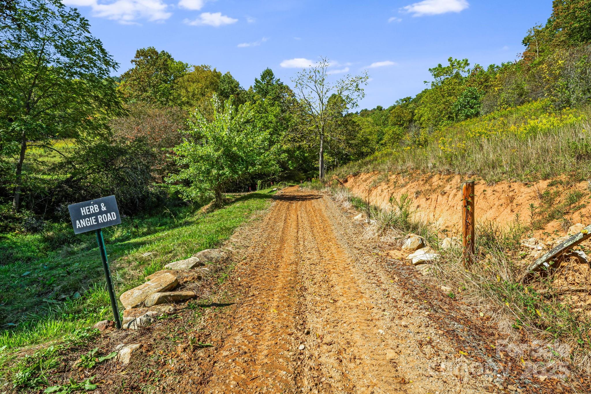 0 Maney Br Road Burnsville, NC 28714 - Photo 7 of 48 a view of backyard with swimming pool