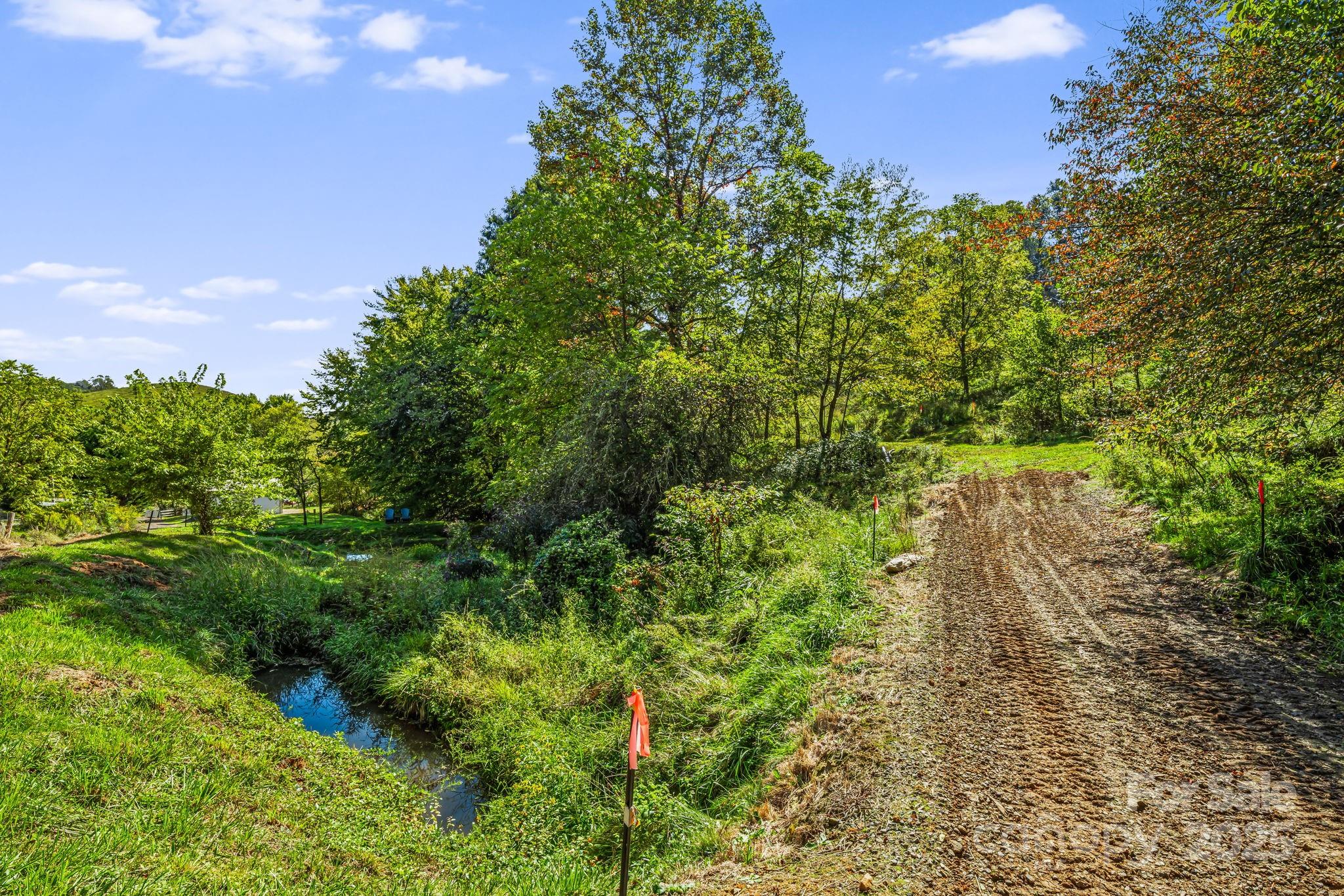 0 Maney Br Road Burnsville, NC 28714 - Photo 9 of 48 a view of a garden