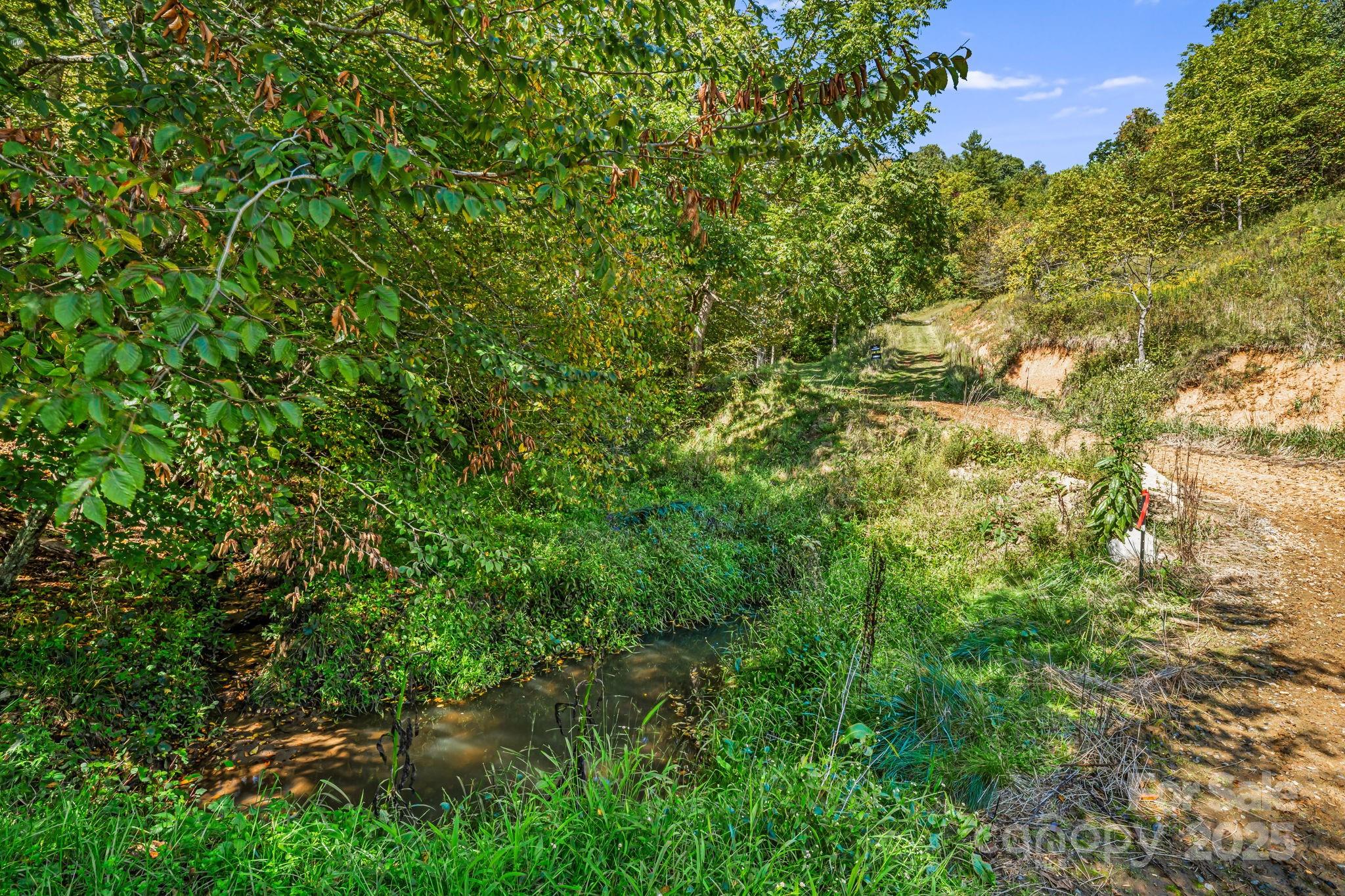 0 Maney Br Road Burnsville, NC 28714 - Photo 10 of 48 a backyard of a house with lots of green space and a fountain