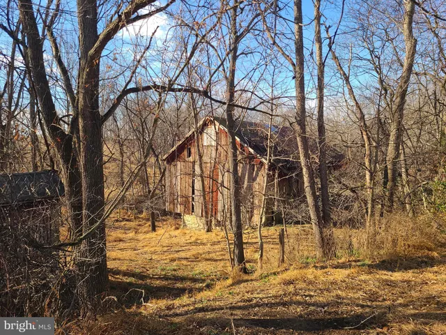 a view of a yard with trees